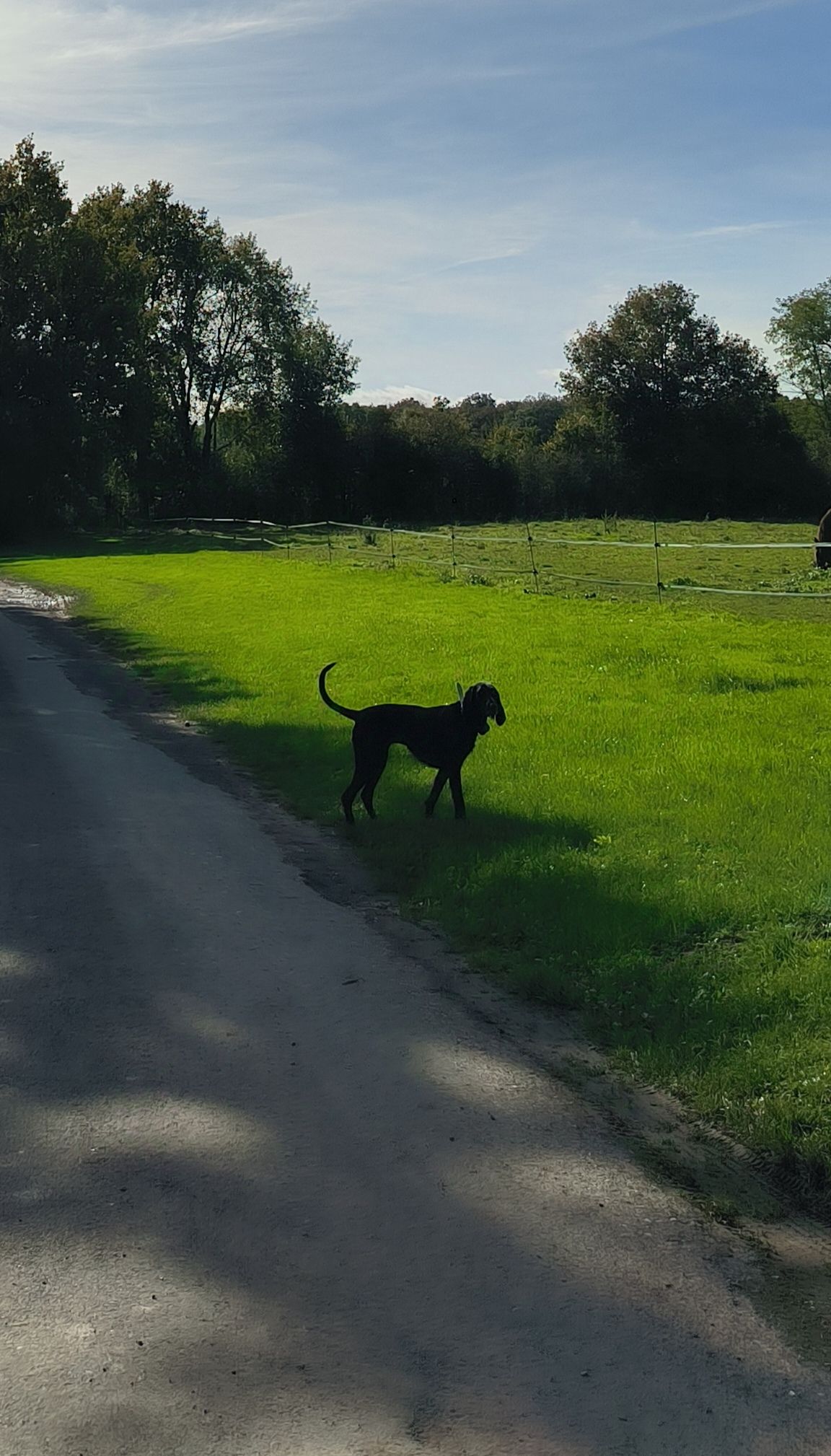 Happy  - Les Landries, Nailly