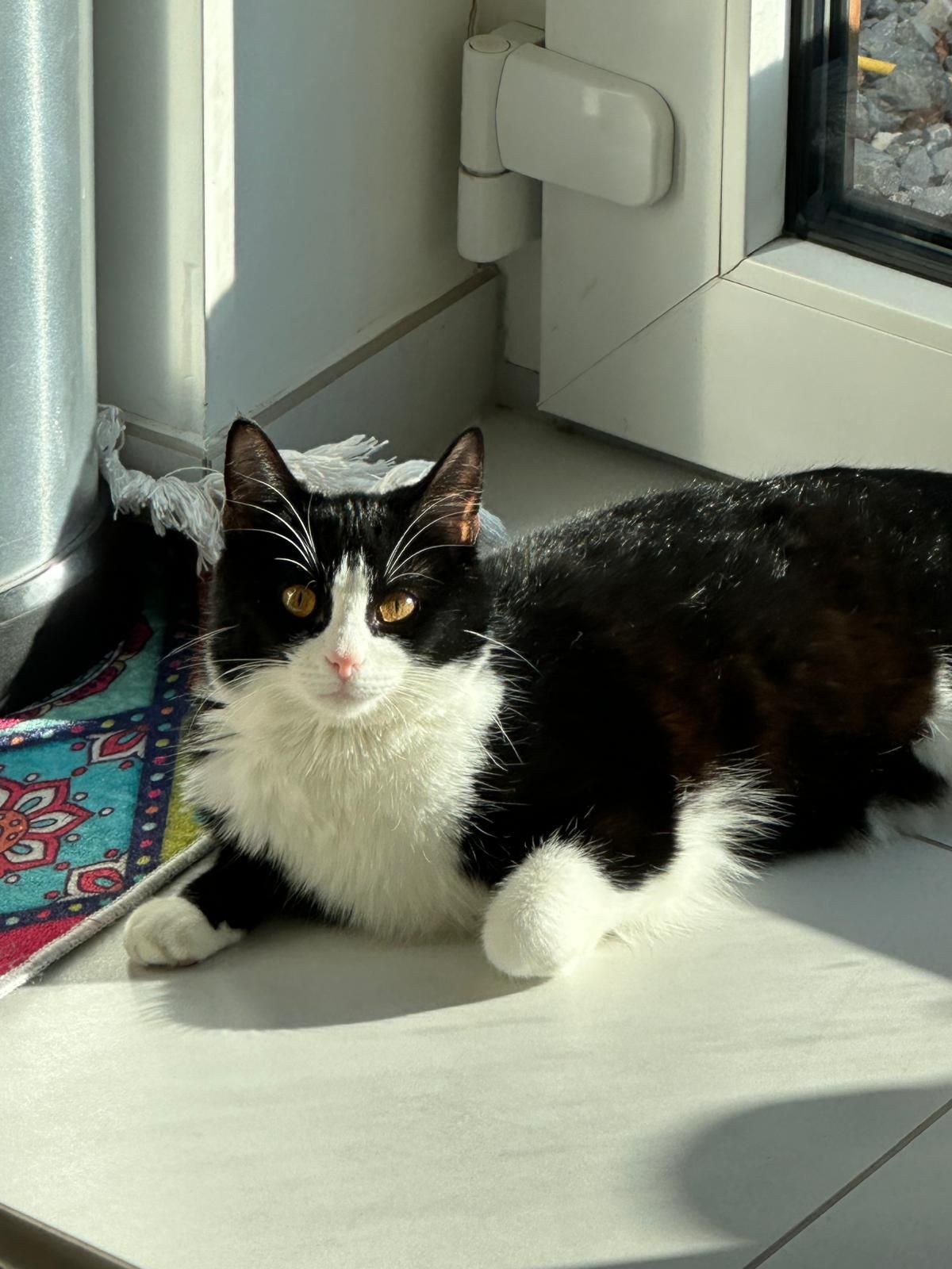 Bèbère - Rue De La Crochette, Bertrix