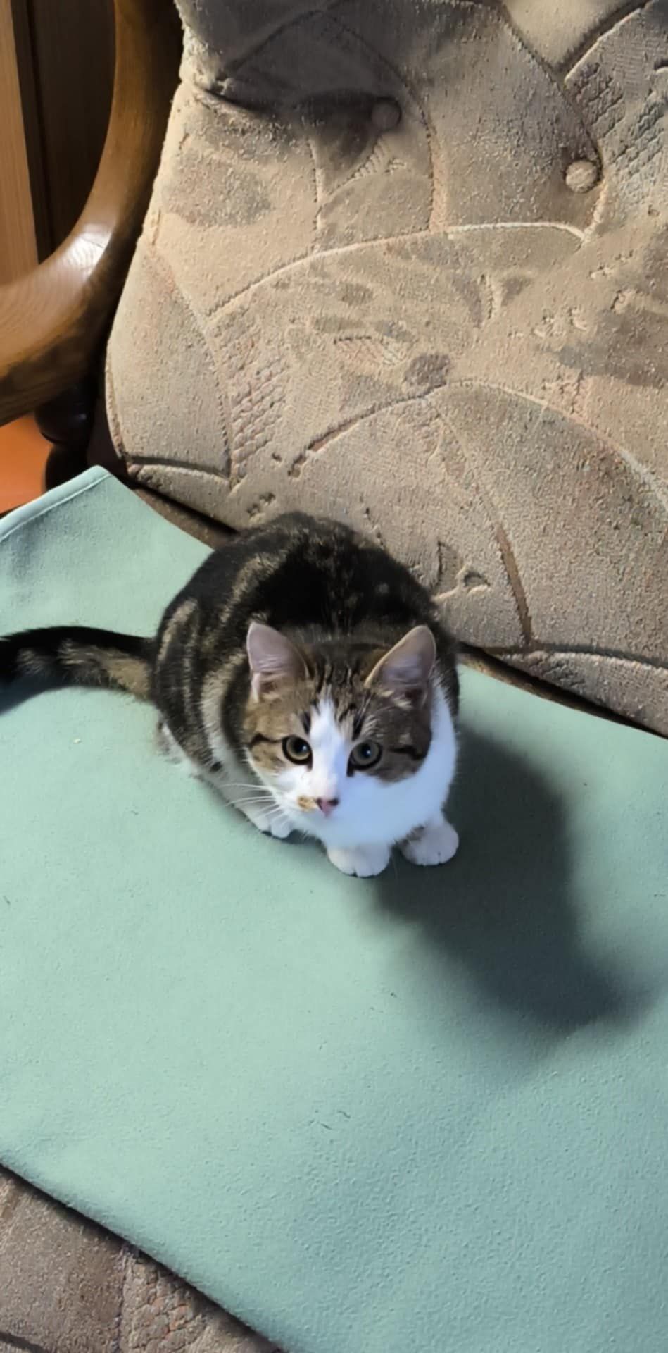 Zara - 105 Rue de la République, Belleville-en-Beaujolais