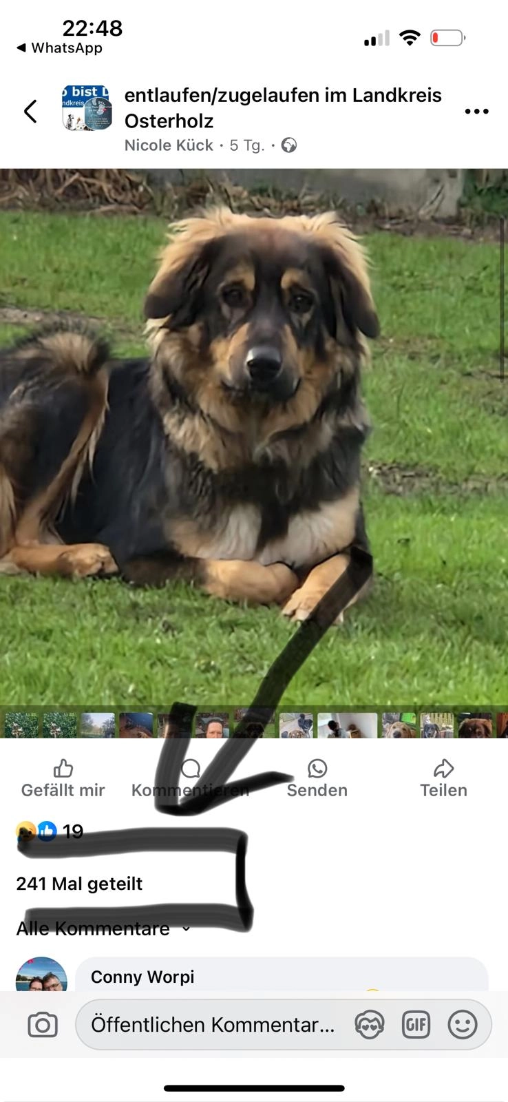 Blue - Twelhornweg, Osterholz-Scharmbeck