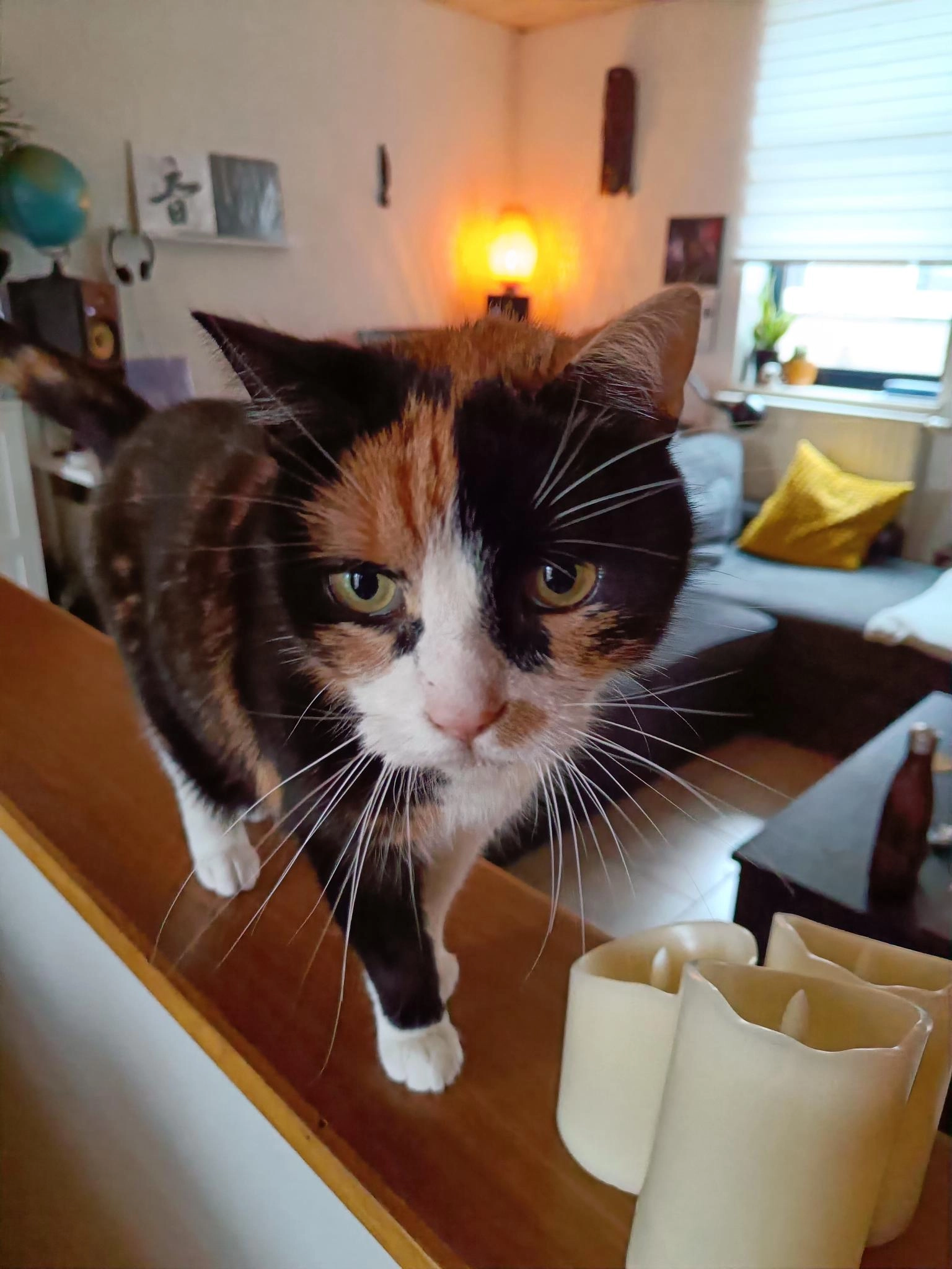 Lilly - Hovenstraat, Hasselt