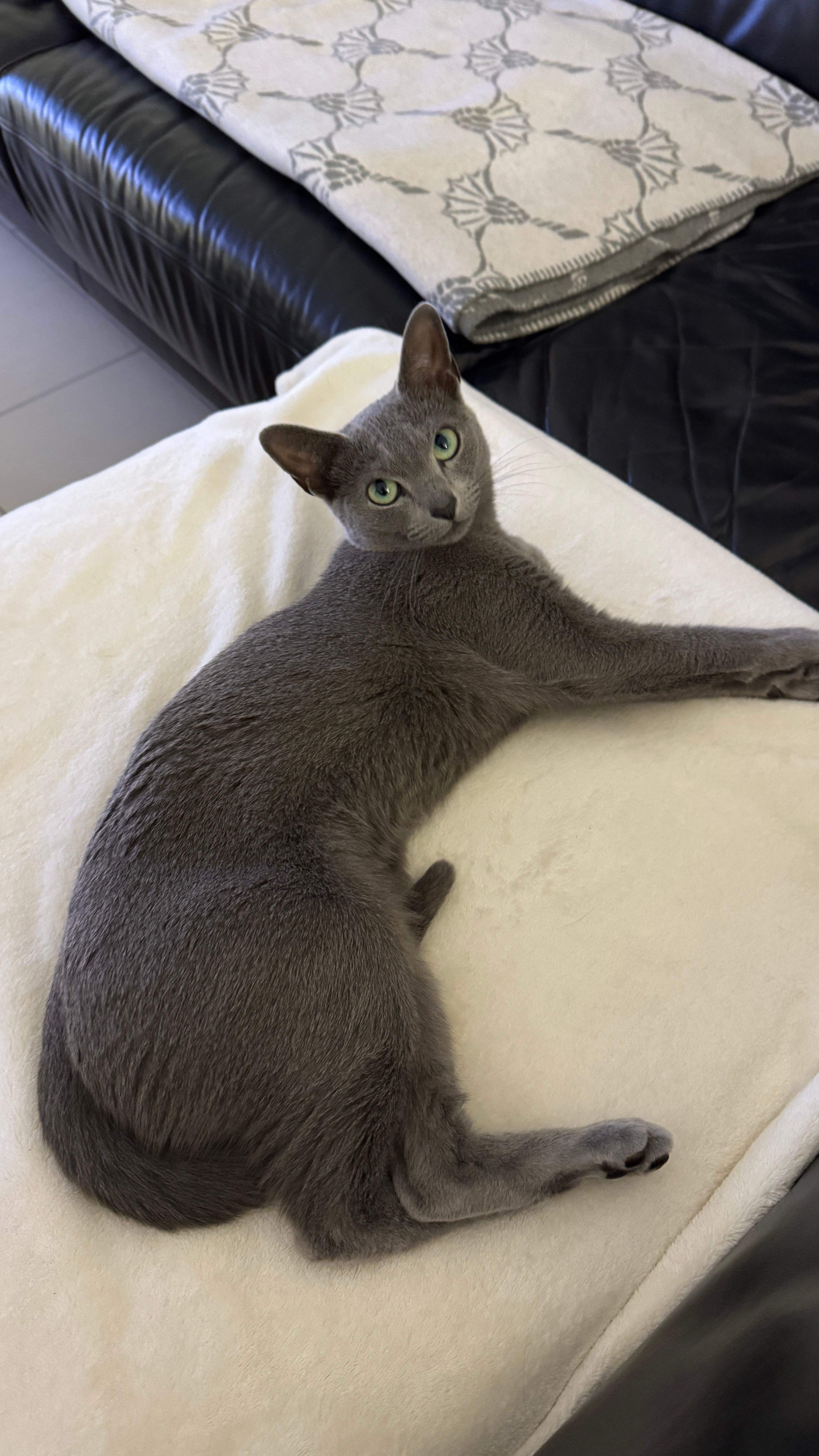 Luna - Königsberger Straße, Dingolfing