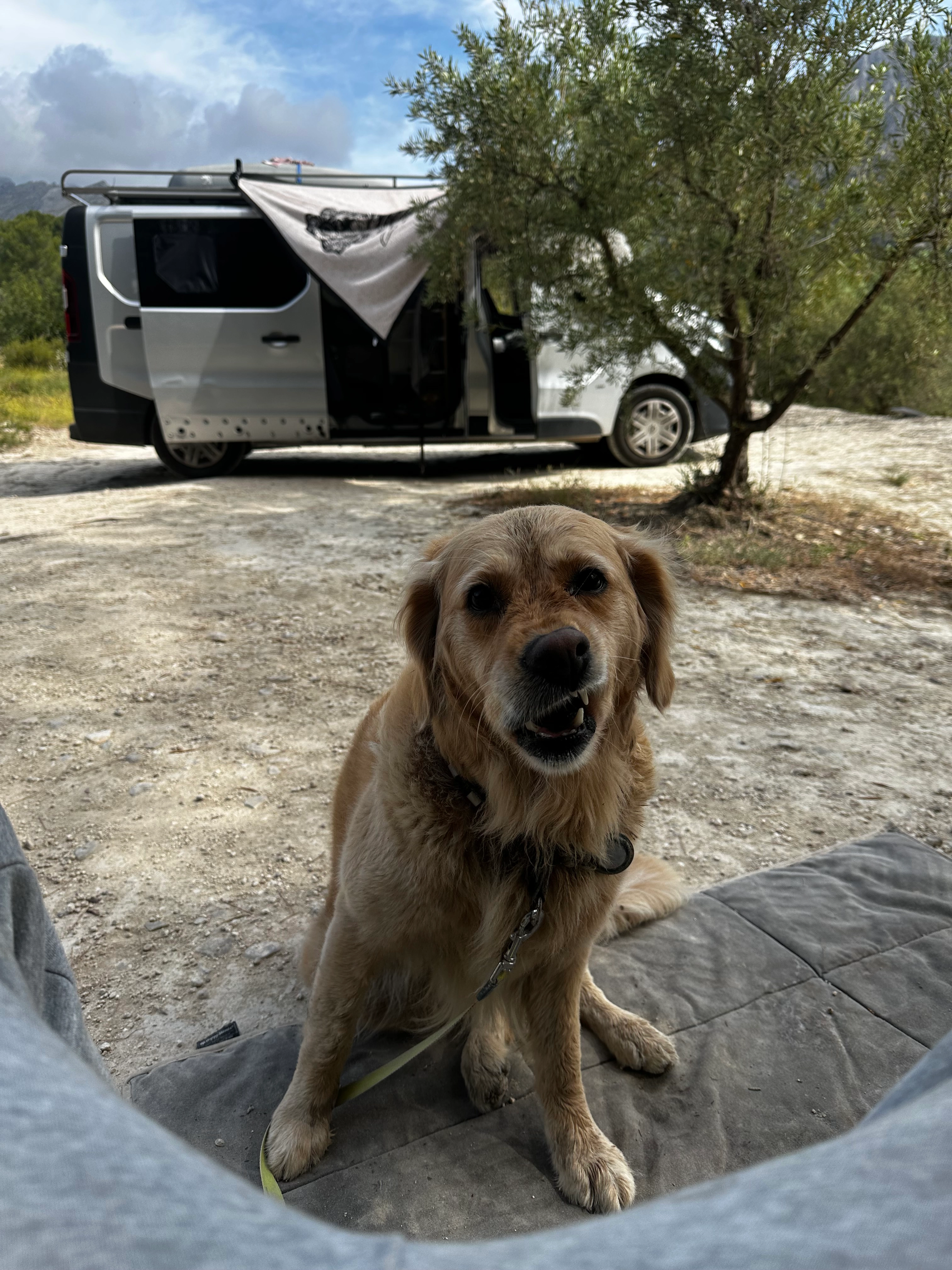 Kaya - Carrer El Mirador, Altea