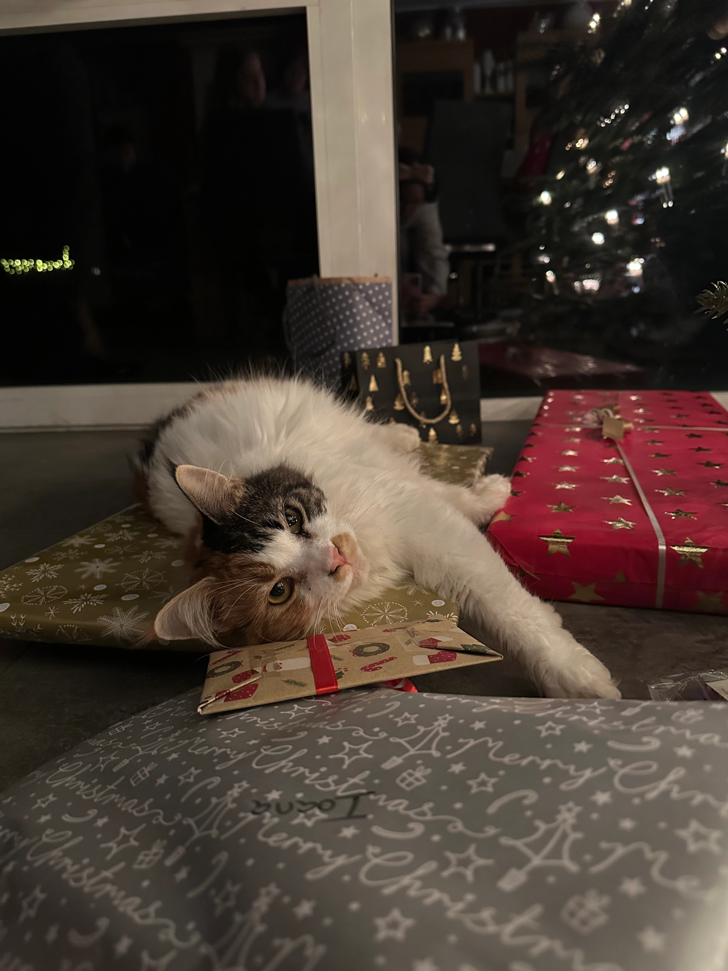 Coco - Dorfstraße, Vlotho