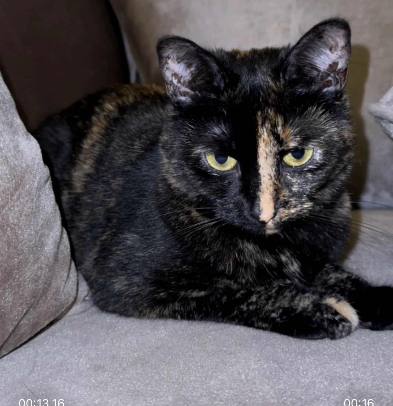 Stormi - Heirmanstraat, Antwerpen