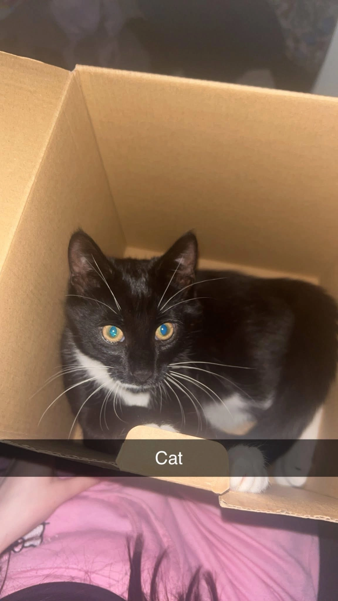 Malcom - Amanda Grove, Wrexham