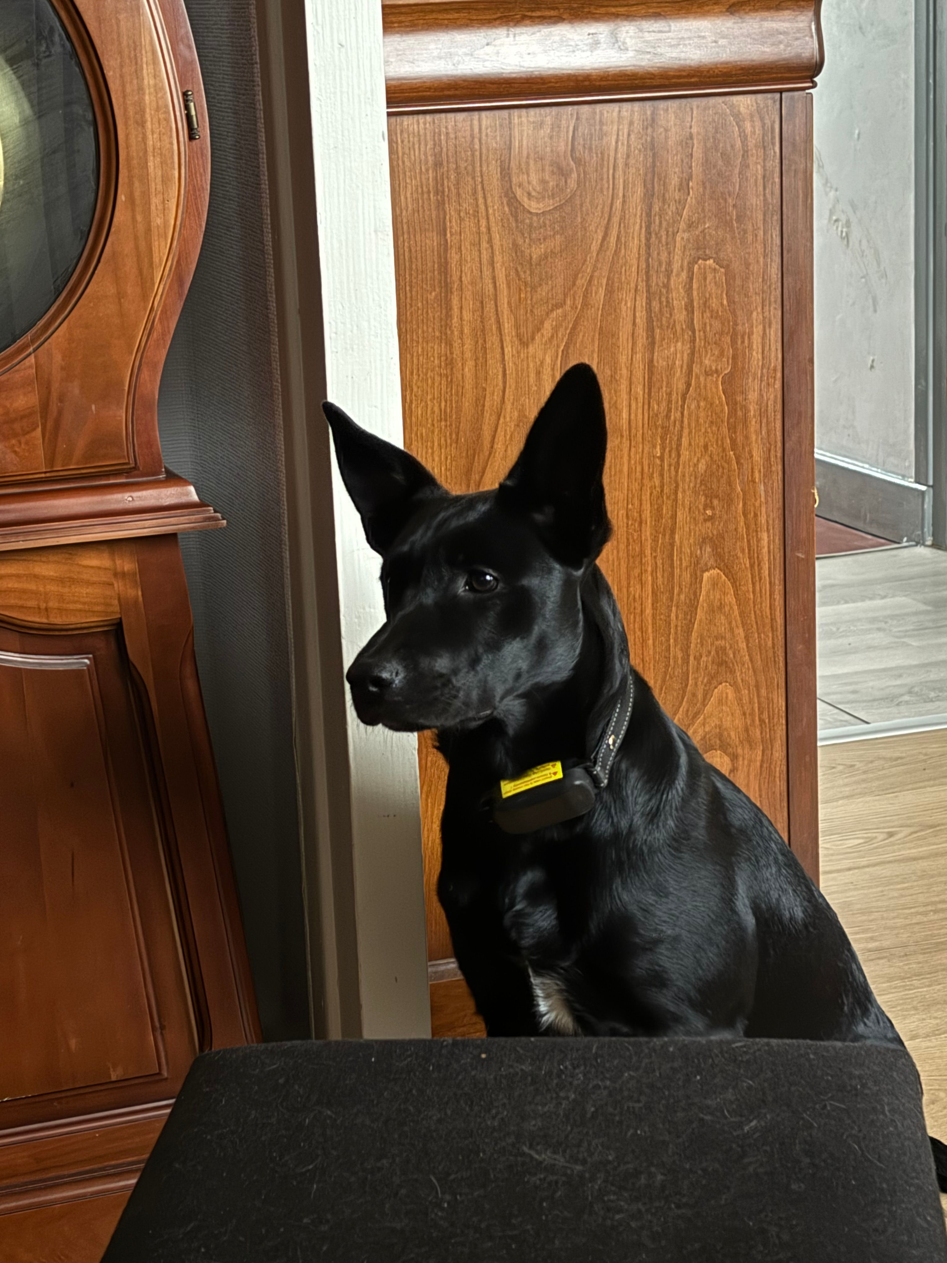 taira - Rue du Mirondet, Aubière