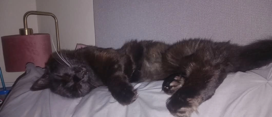 Maggie - Martin Close, Chester