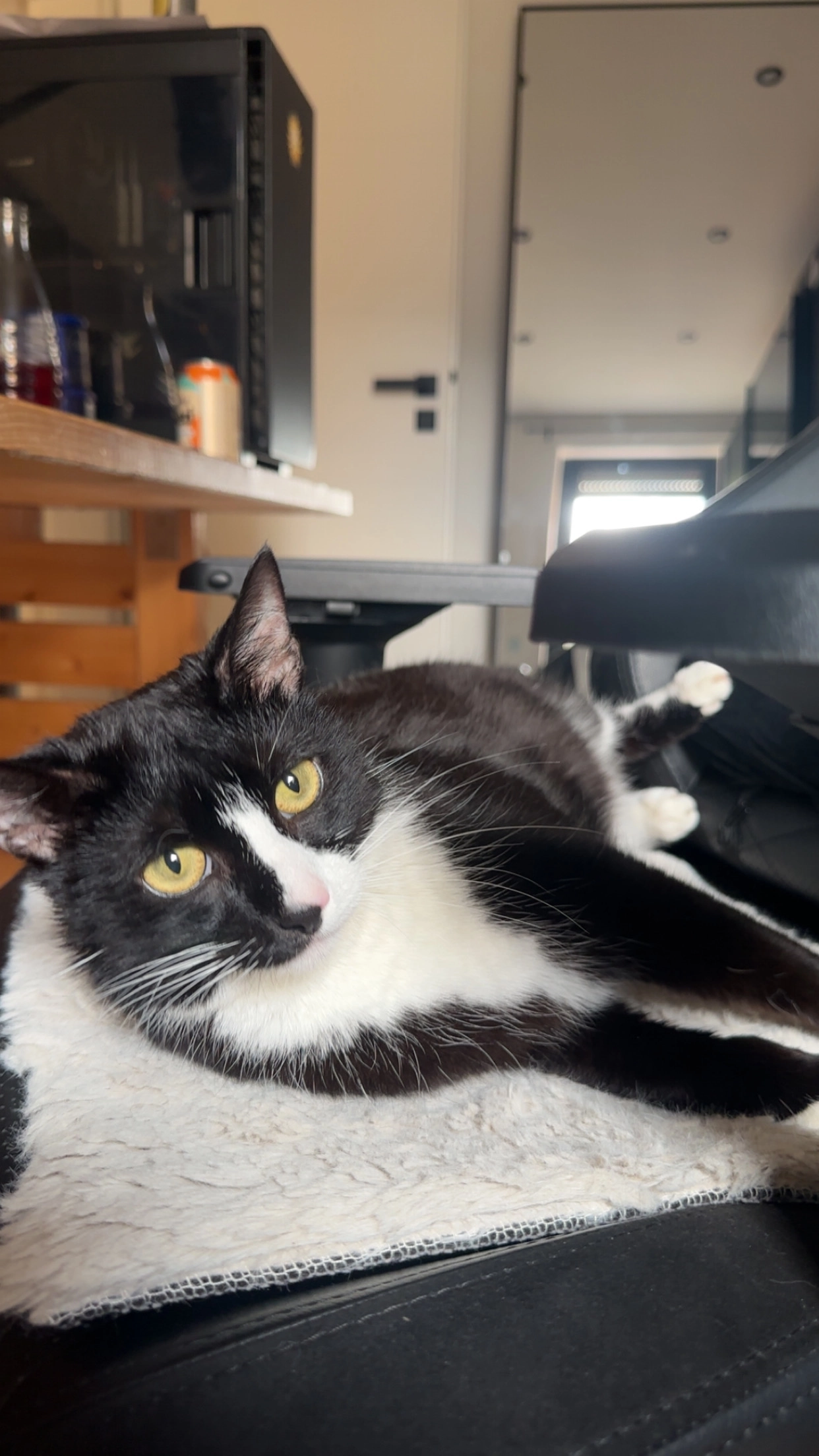 Leo - August-Antz-Straße, Trier