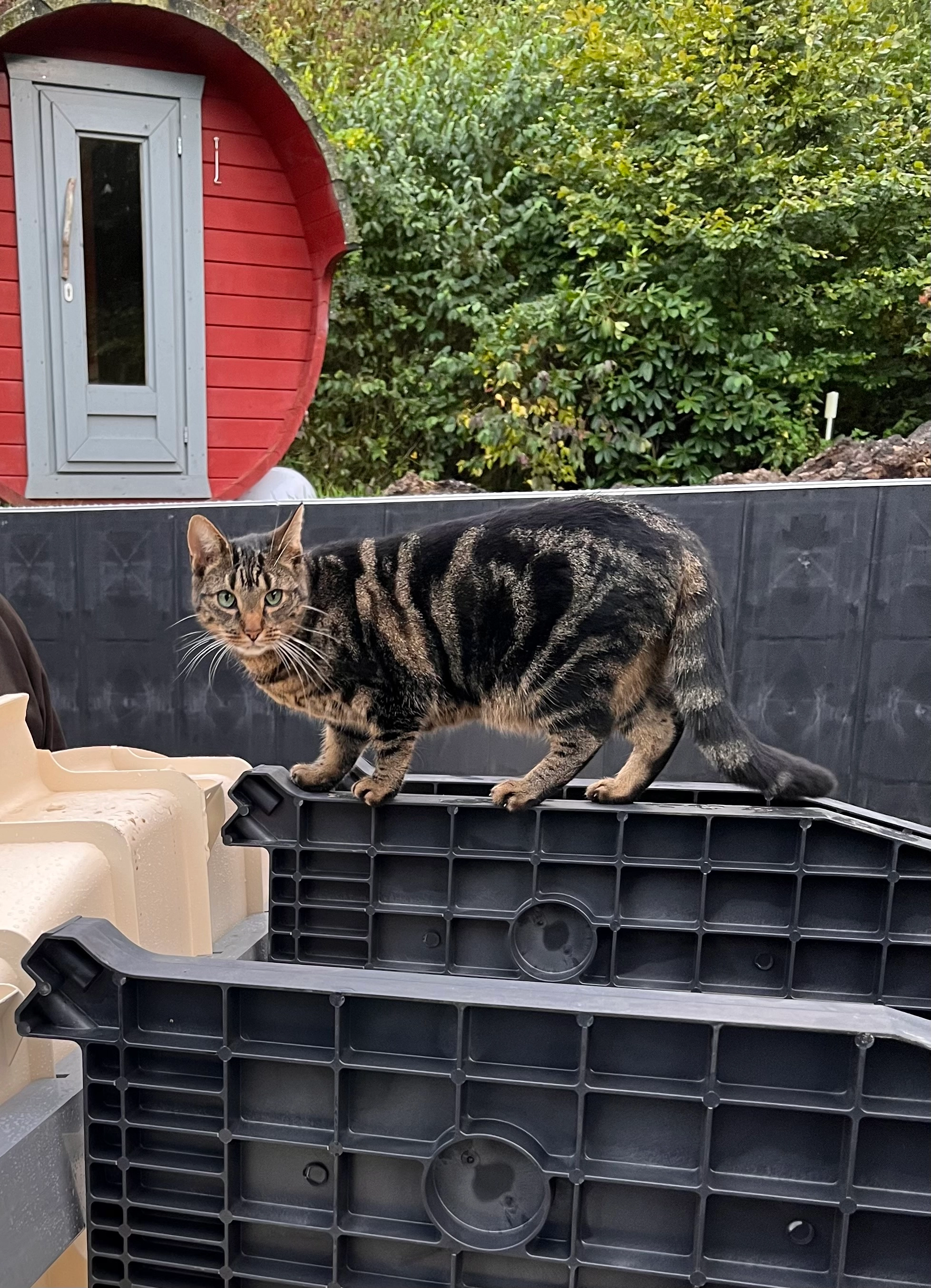 Findus - Heinrich-Früstück-Straße, Oldenburg