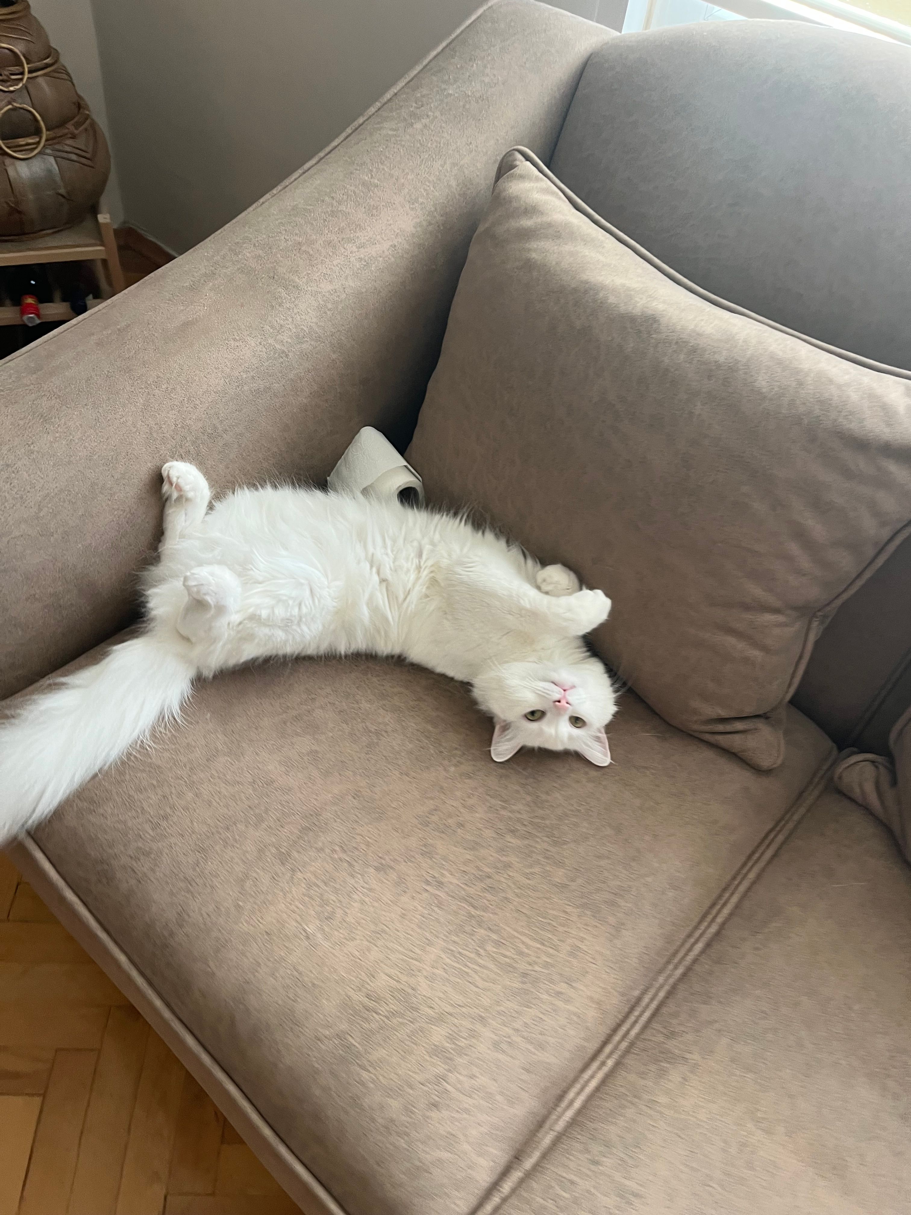 Şans  - Başöğretmen Caddesi, Istanbul