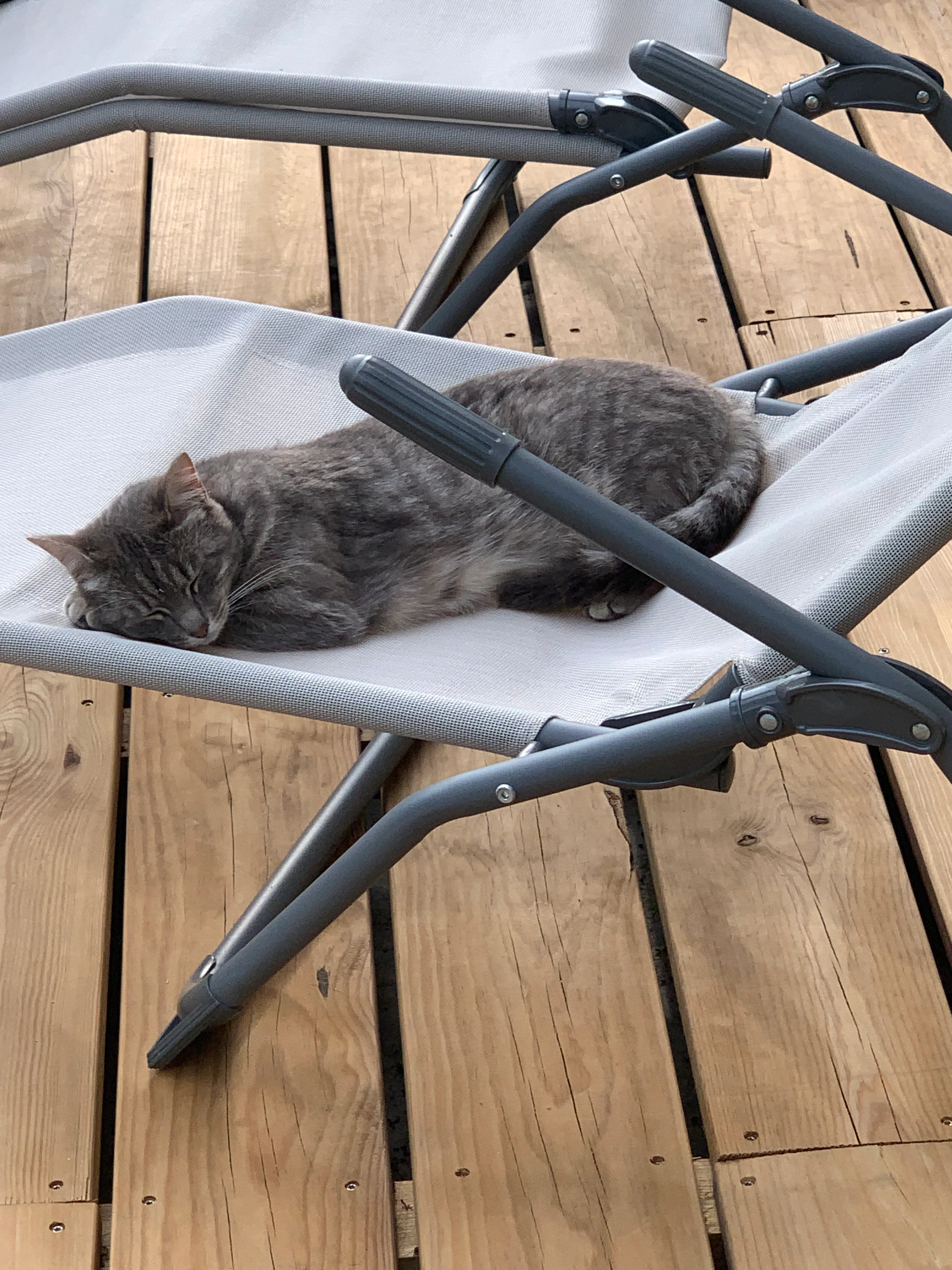 mie - 12 Rue des Margats, Coteaux-sur-Loire