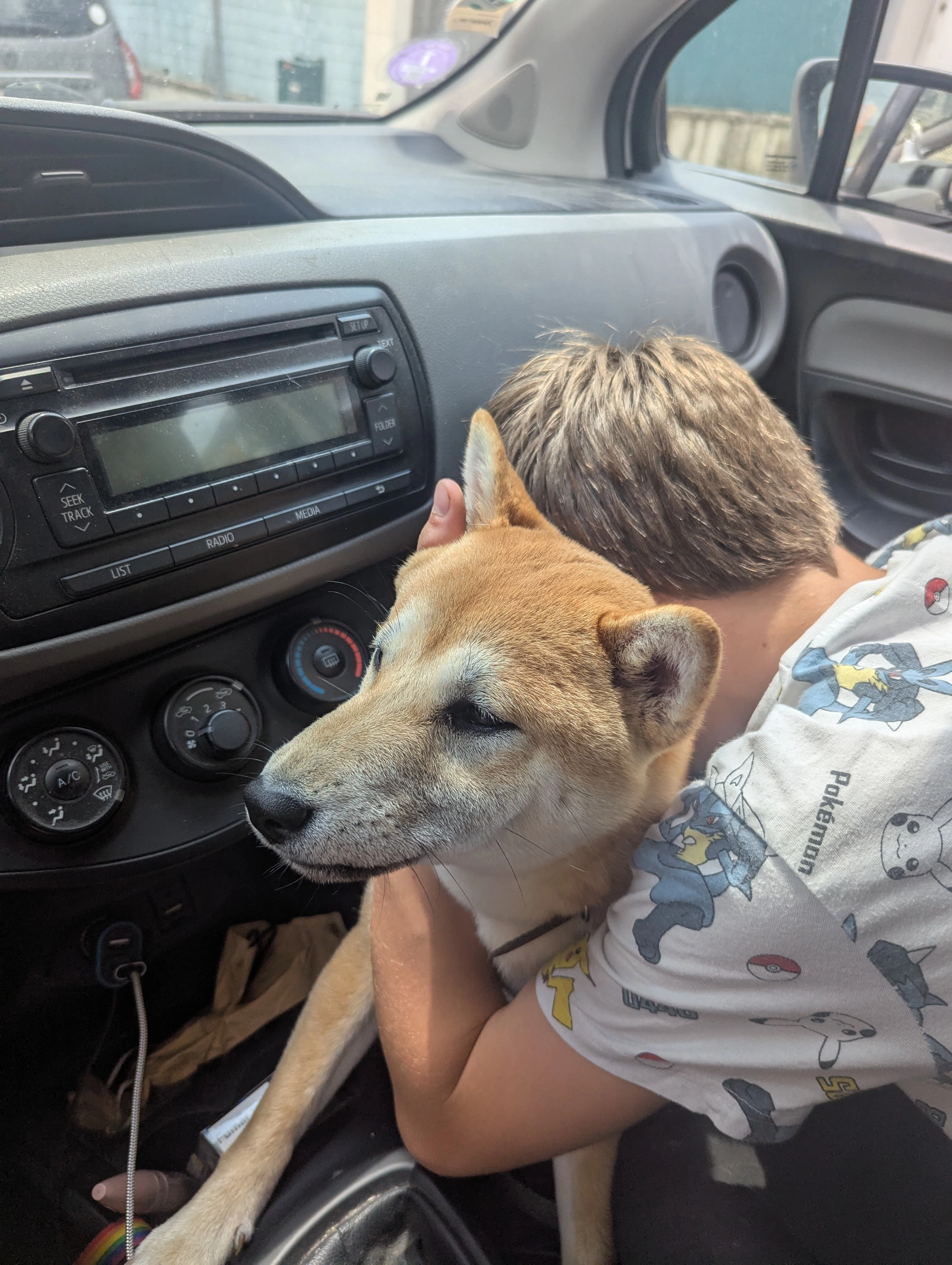 Kaïko - 6 Impasse de la Marjolaine, Montpellier