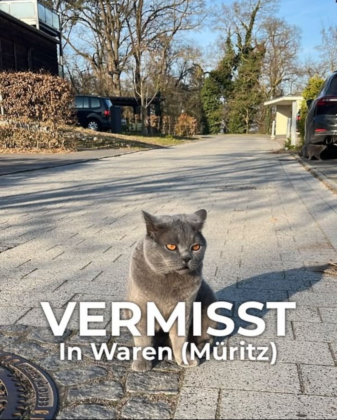 Tony - Villenpark am Tiefwarensee, Waren