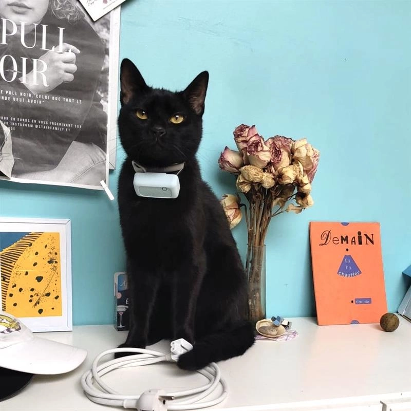 Noki - 15 Rue Ambroise Croizat, Mondeville