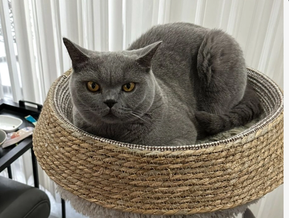 Müezza - Overbergstraße, Barßel