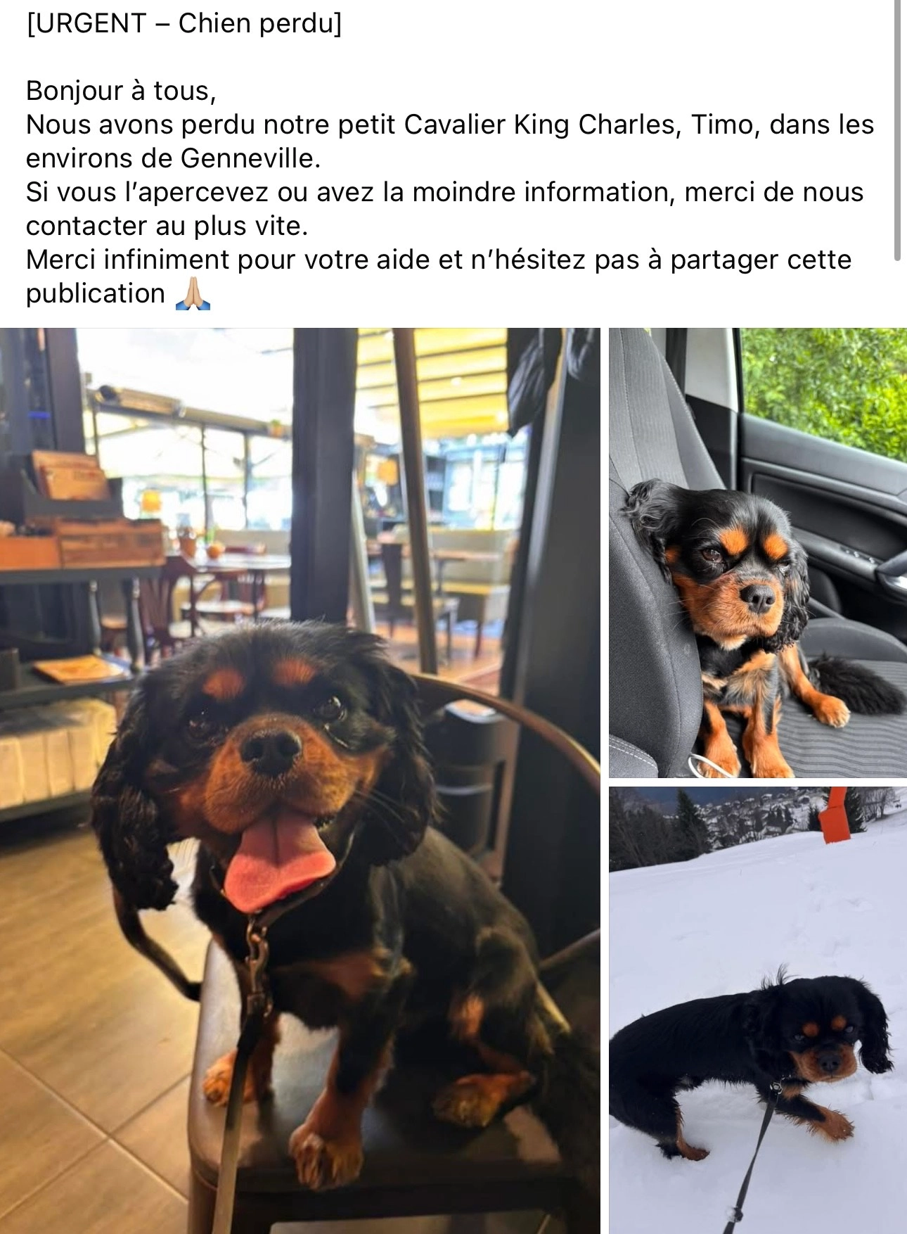 ULTIMA TIMO - Chemin de la Roquerie, Genneville