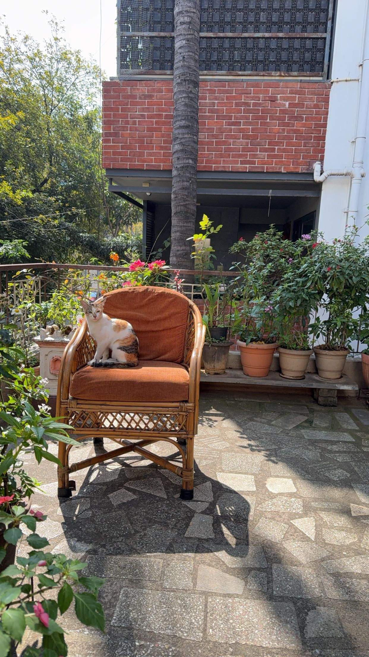 Peeku - 15th Main Road, Bengaluru