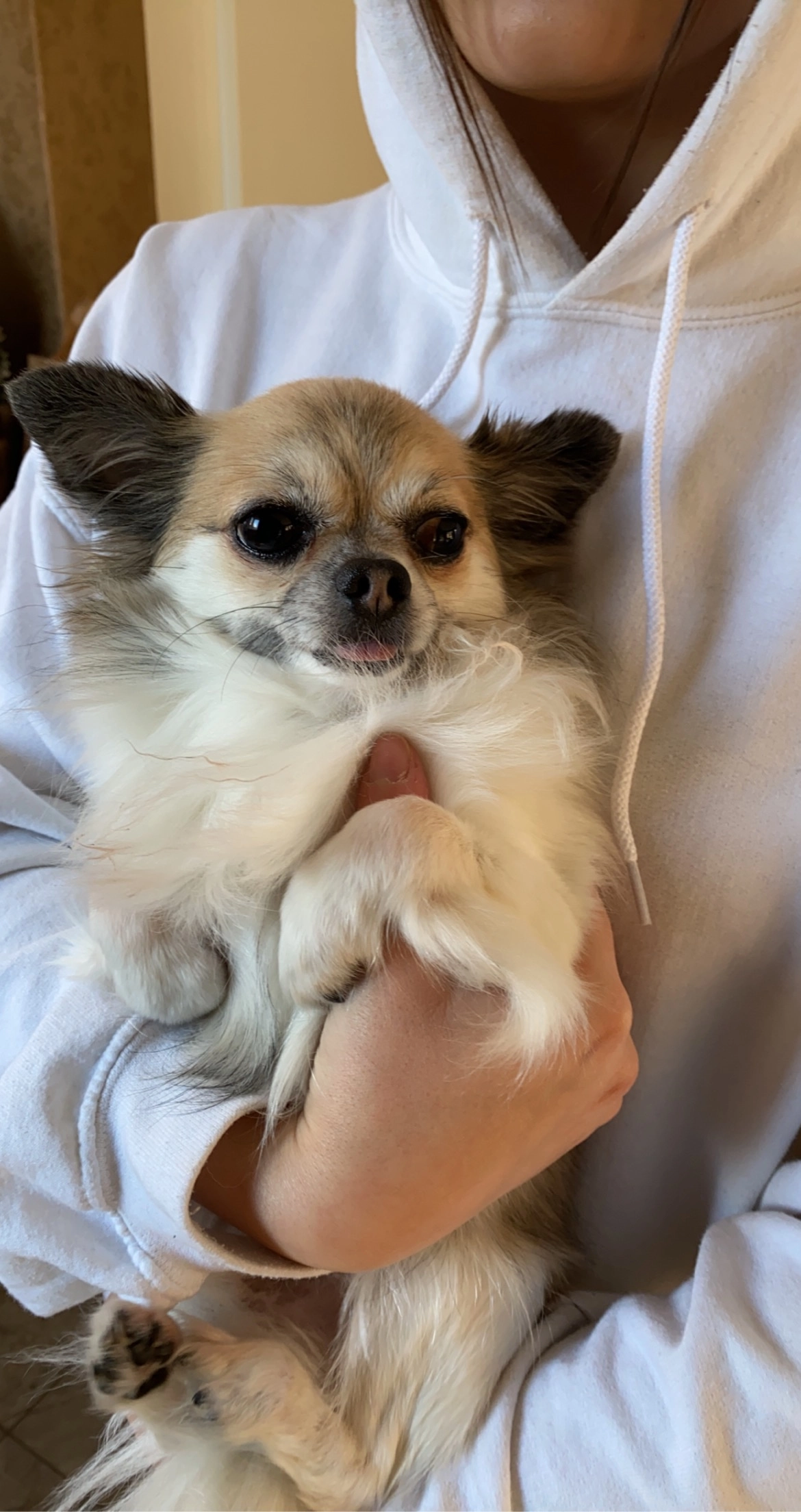 chico - Nürnberger Straße 27, Berlin