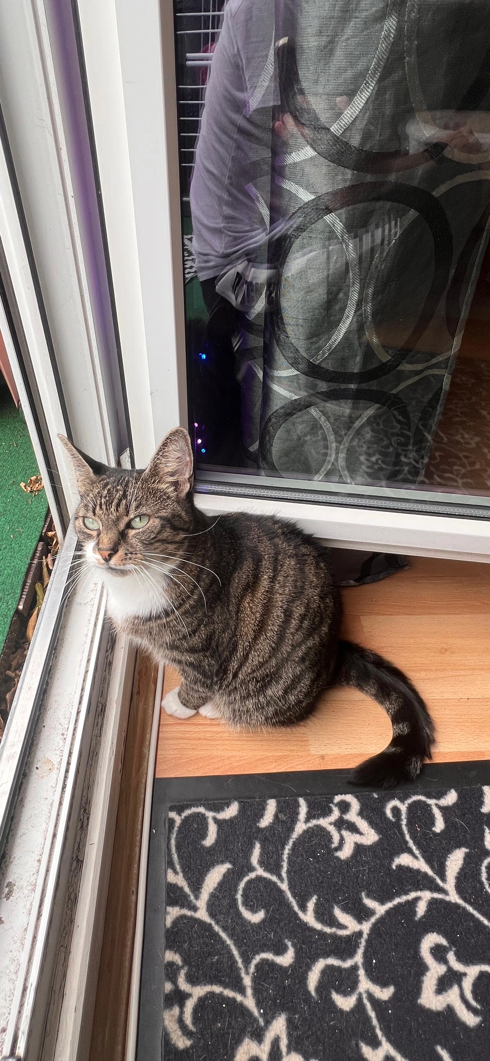 Nelly - Koppelring, Oldendorf