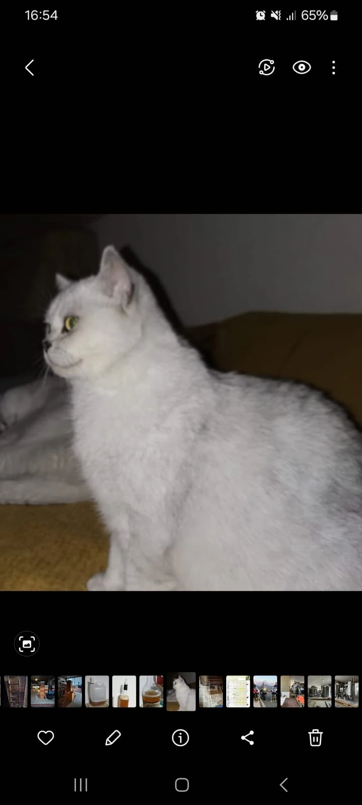 Flocky - Hinter Den Gärten, Ichenhausen