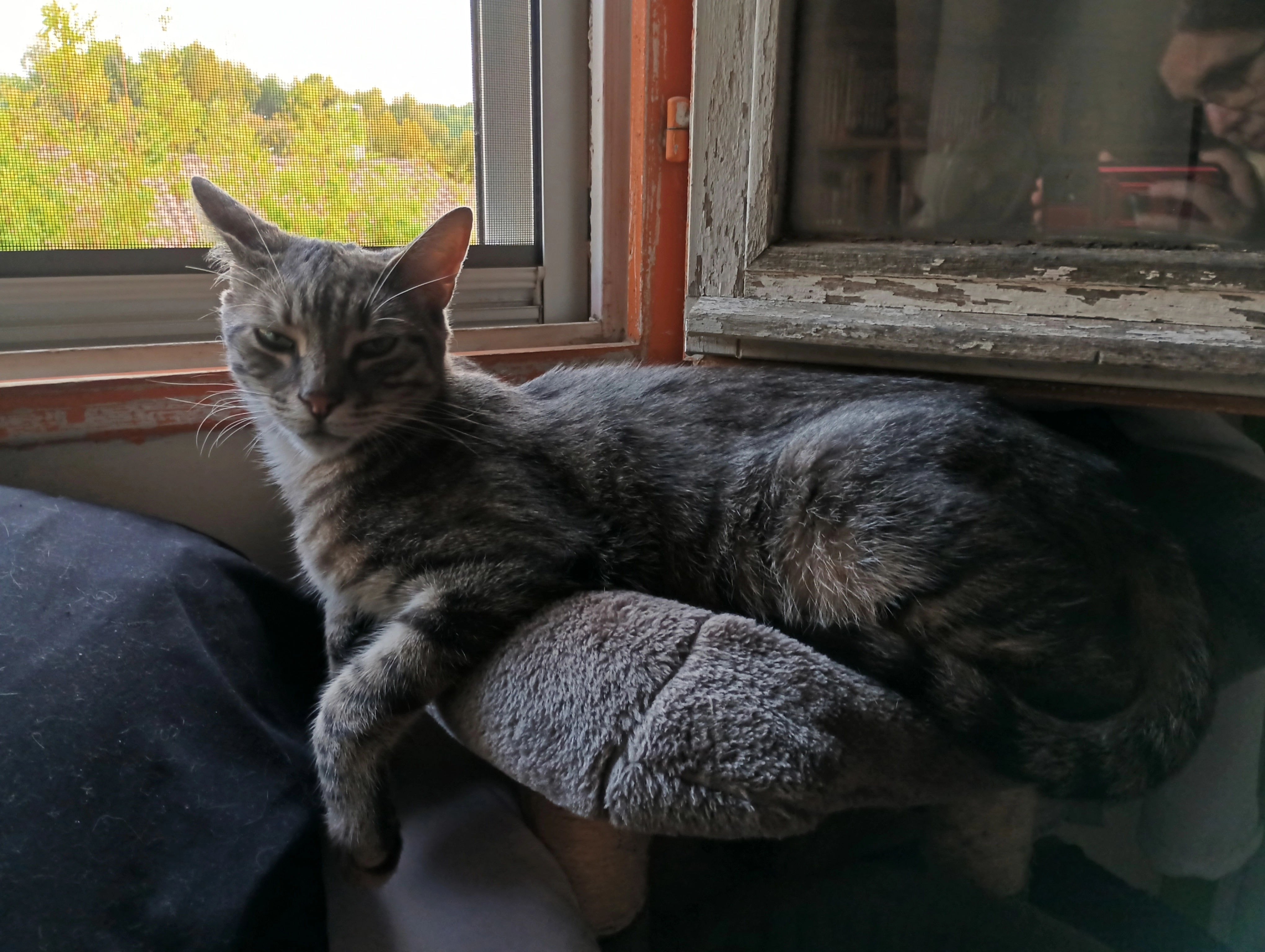 Alduin - Allée De L'arc, Saint-Mitre-les-Remparts