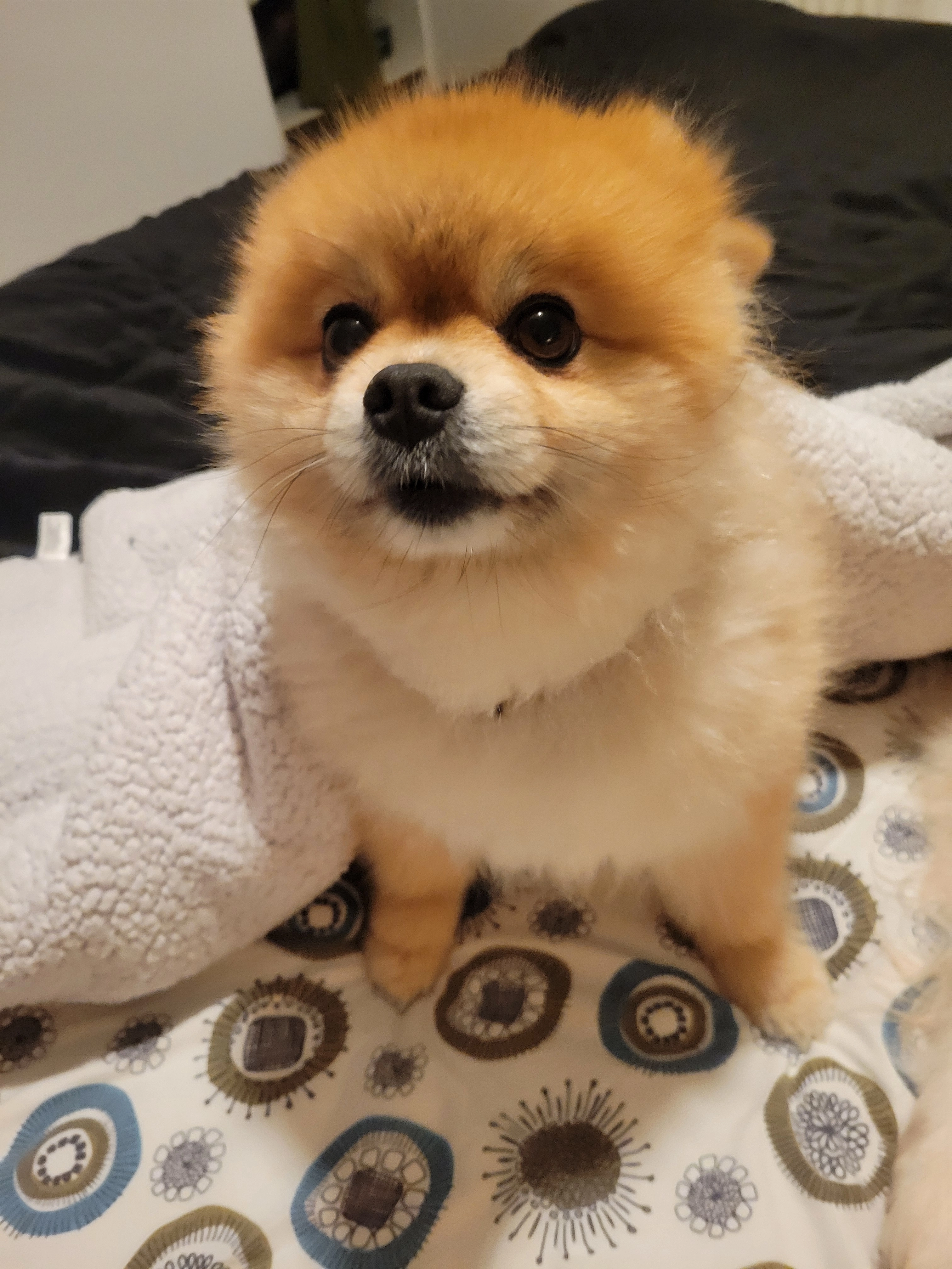 Kenzo - Route De Bioux, Mâcon