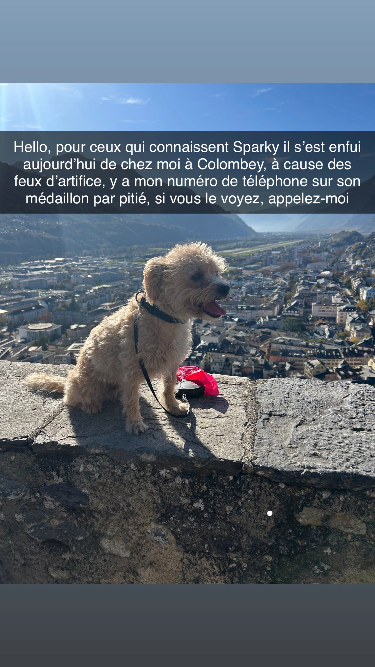 Sparky  - Chemin des Chauz, Collombey-Muraz