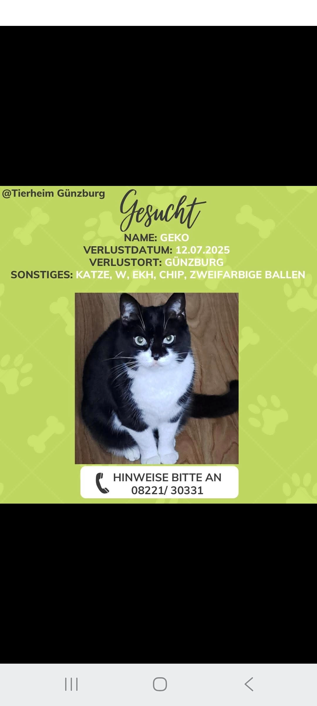 Geko - Parkstraße, Günzburg