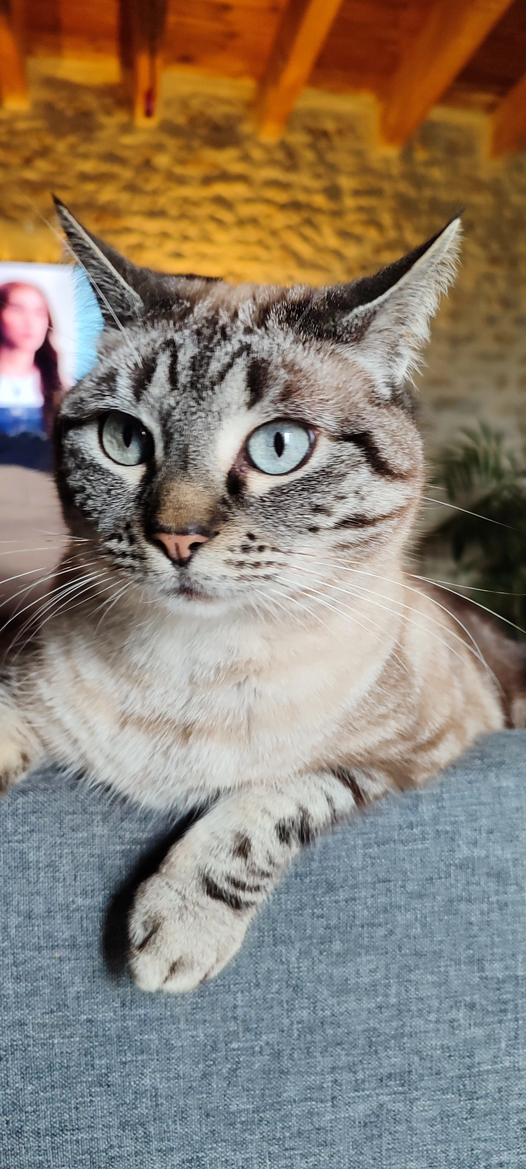 Tina - Chemin Du Port D'anchais, Maillezais