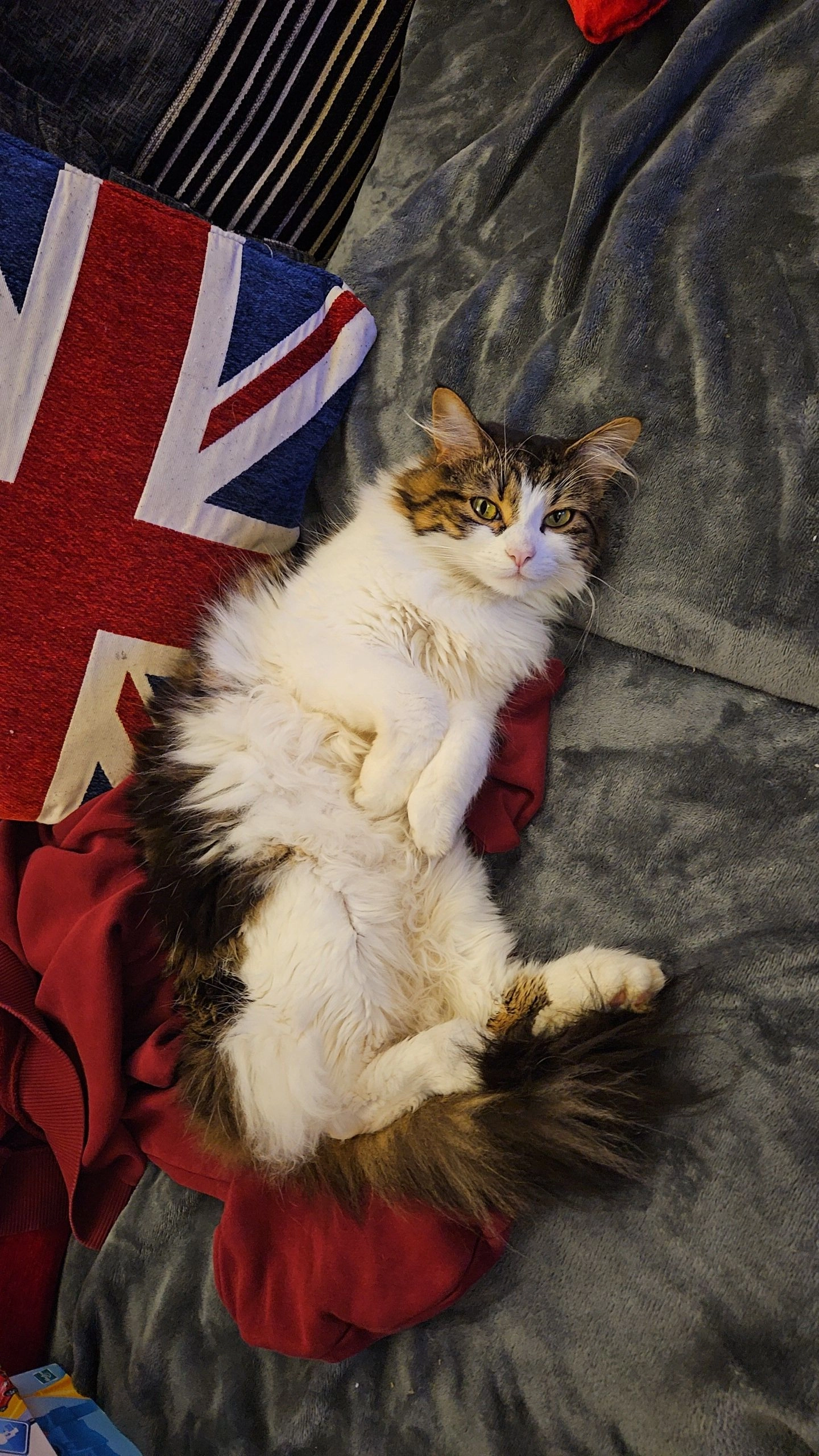 Reva - Frensham Close, Banbury