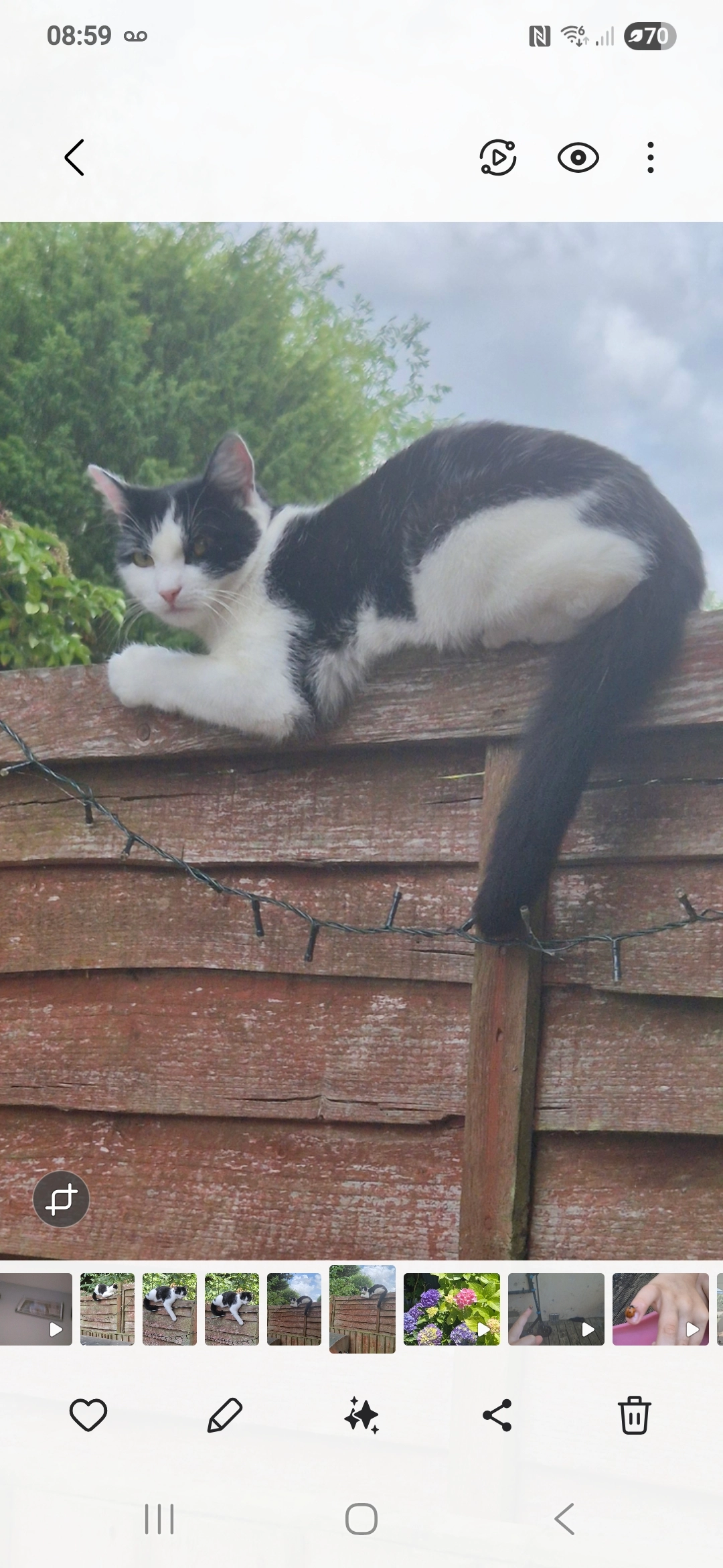 Cookie - Thame Road, Aylesbury