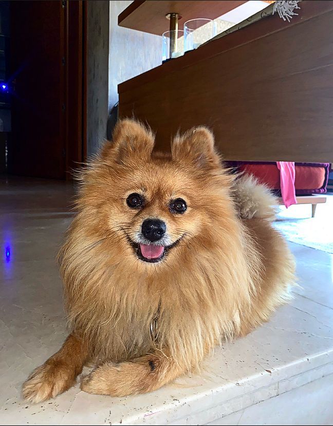 Spikey - 20, Casablanca