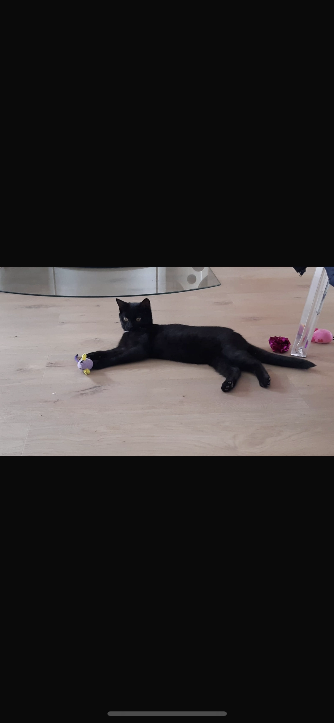 Zen - 7 Rue du Prieuré, Esvres