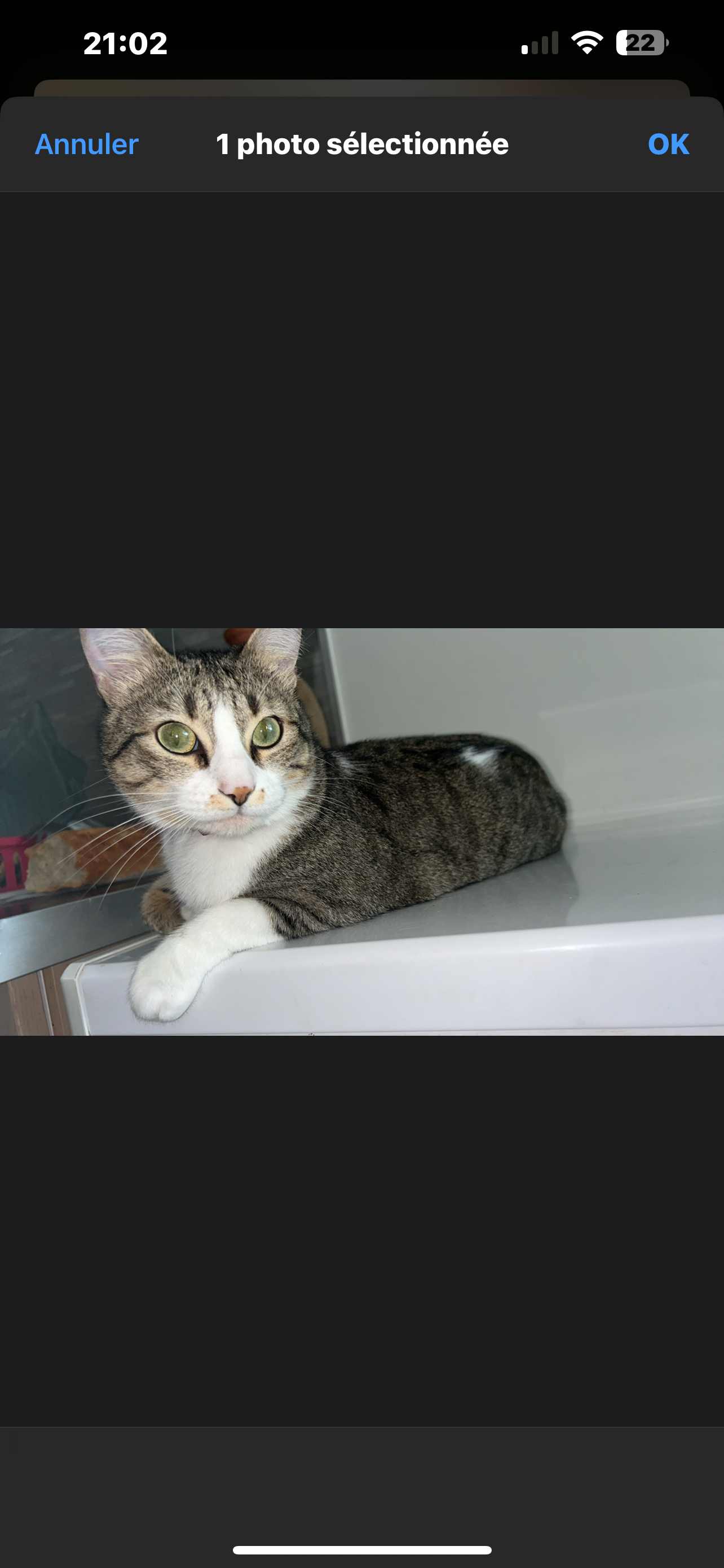 Rinzou  - Route du Cabardès, Trèbes