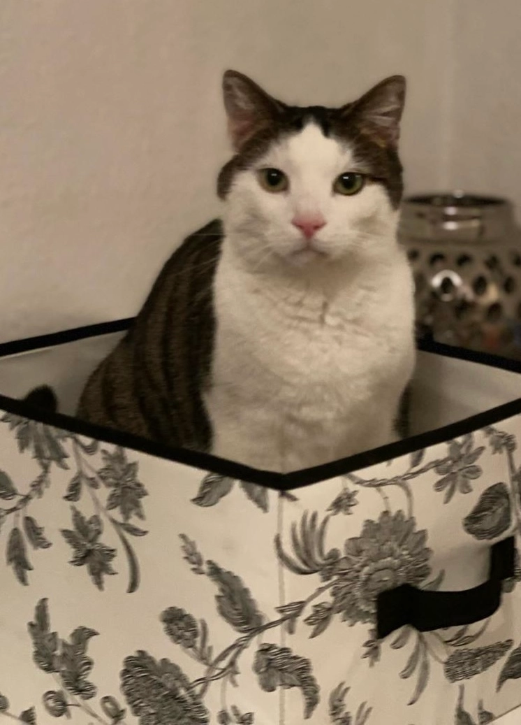 Pamuk  - Logauweg, Stuttgart