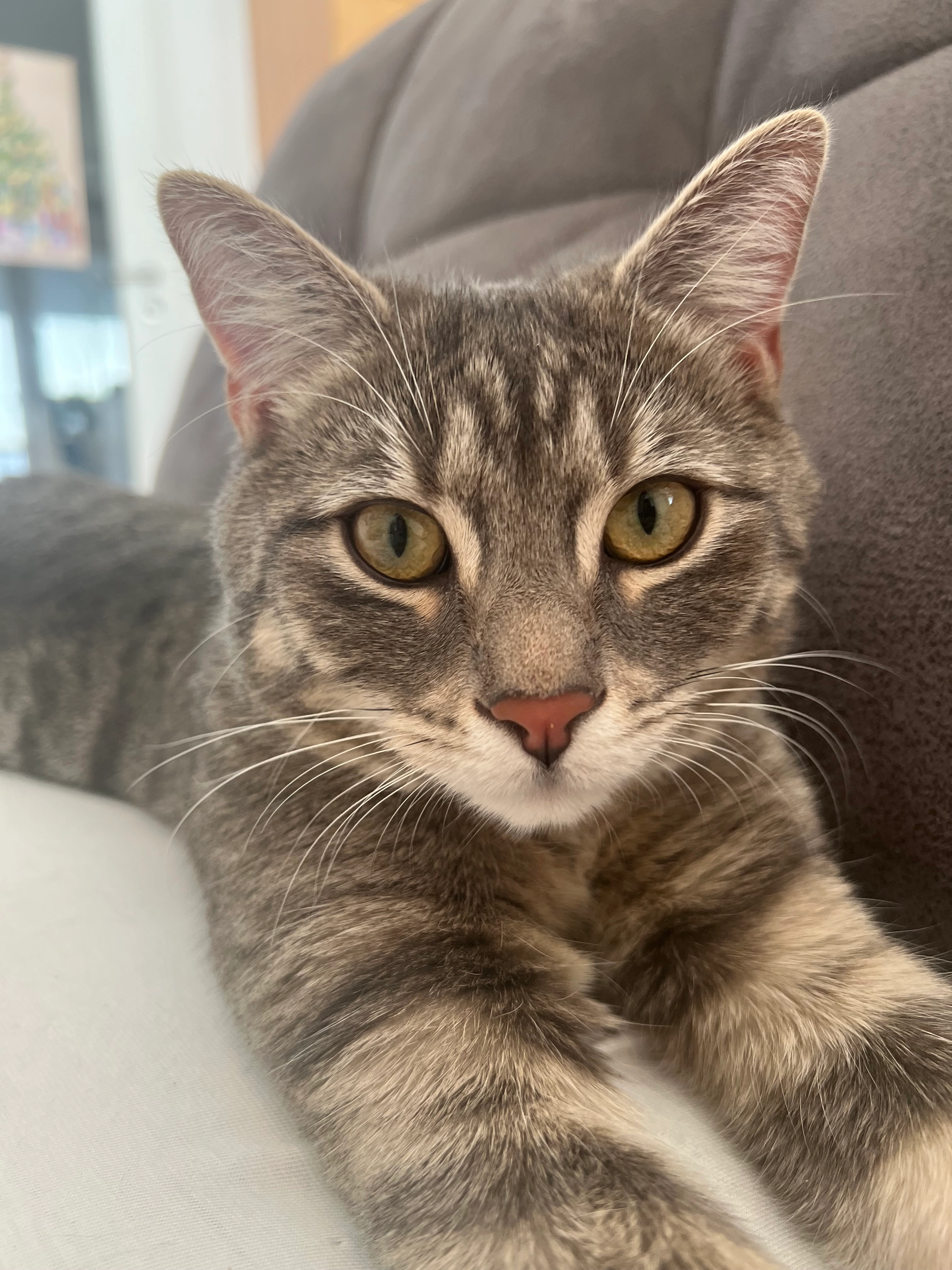 Lio - Bahnhofstraße 391, Golling an der Salzach