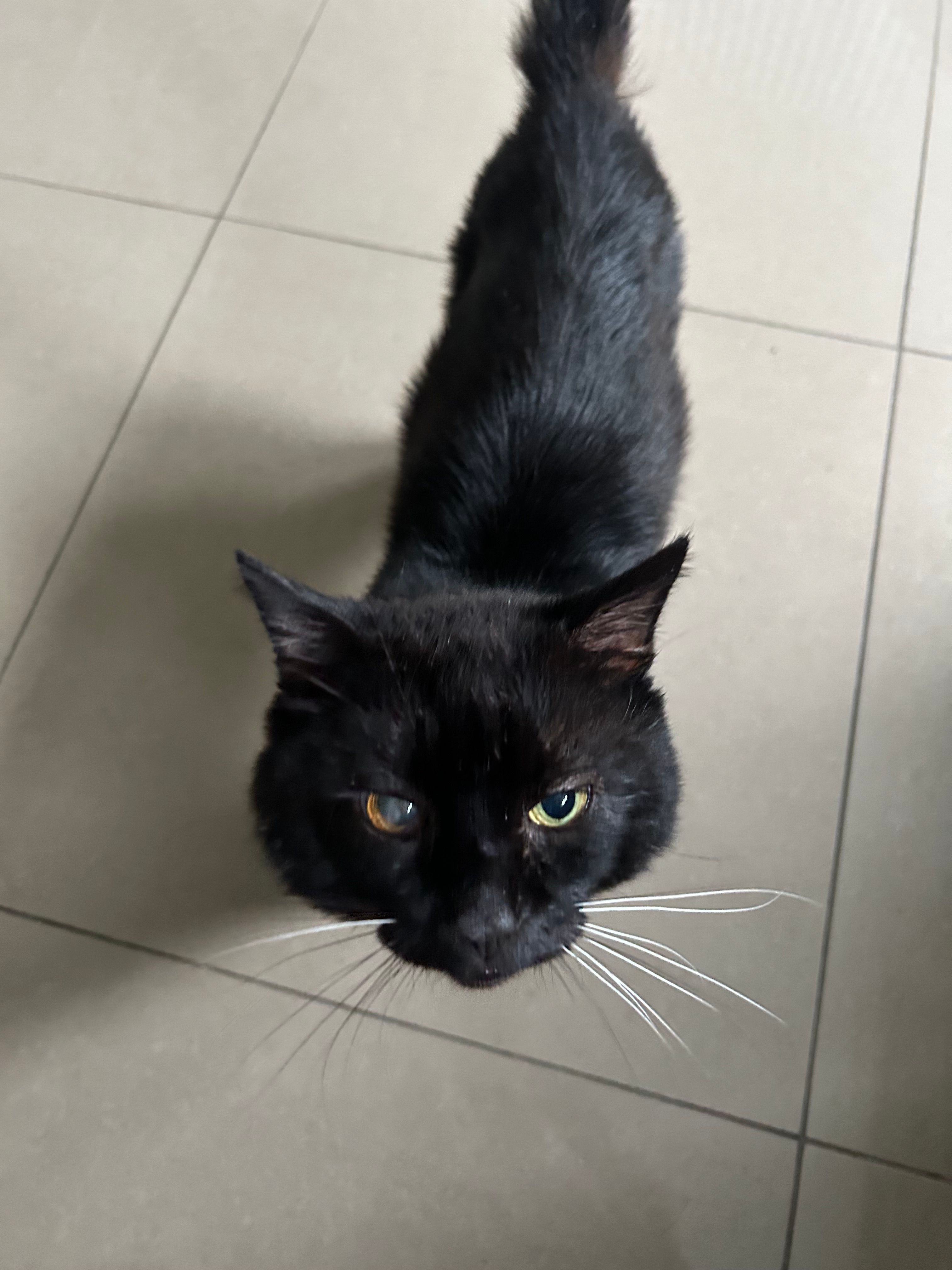 Ted - Gernant, Colwyn Bay