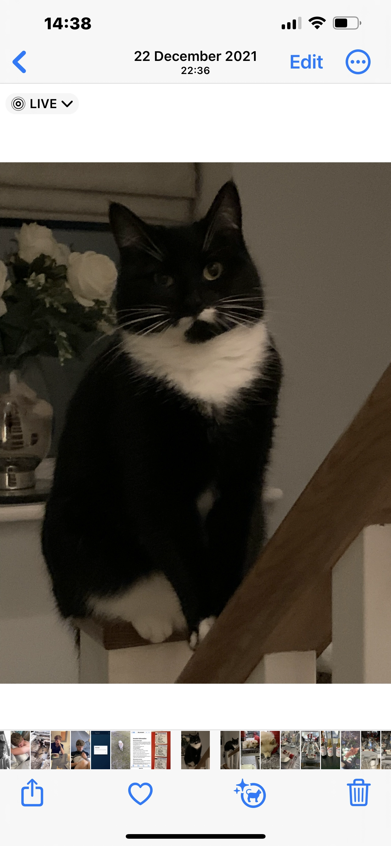 Beau - Mere Brow, Preston