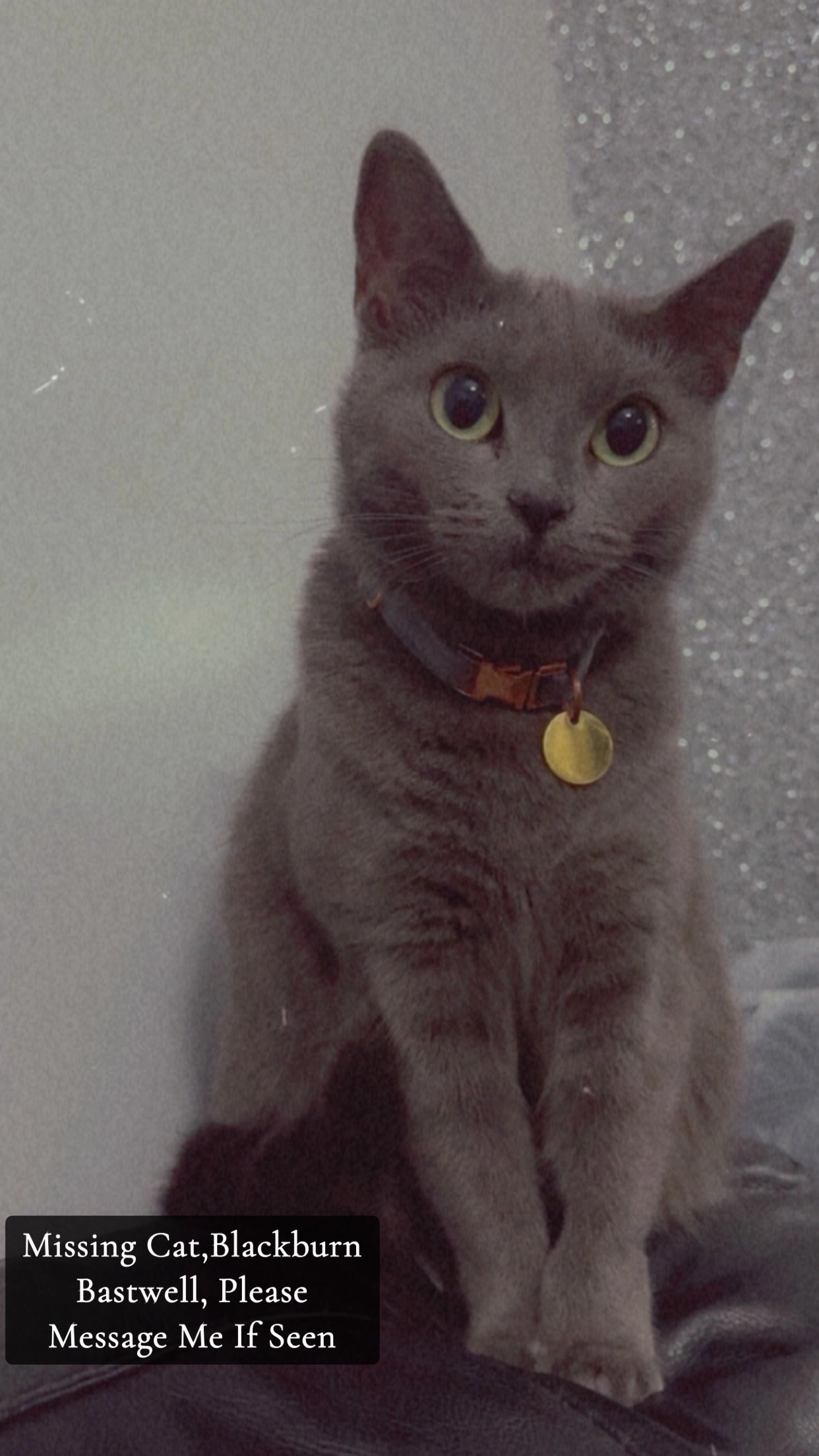 Riya - Whalley New Road, Blackburn