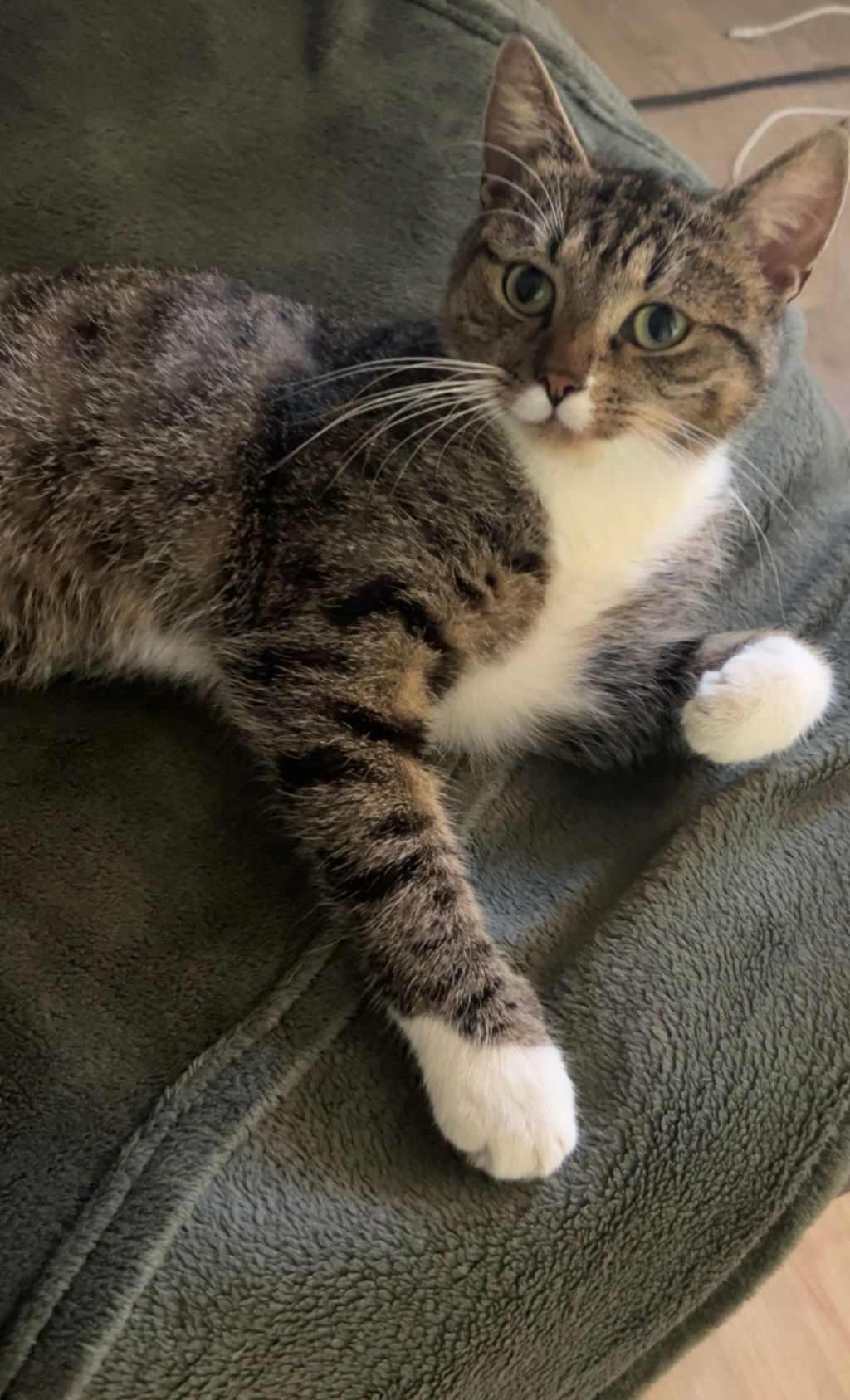 Lilly - Brauhofstraße, Dippoldiswalde