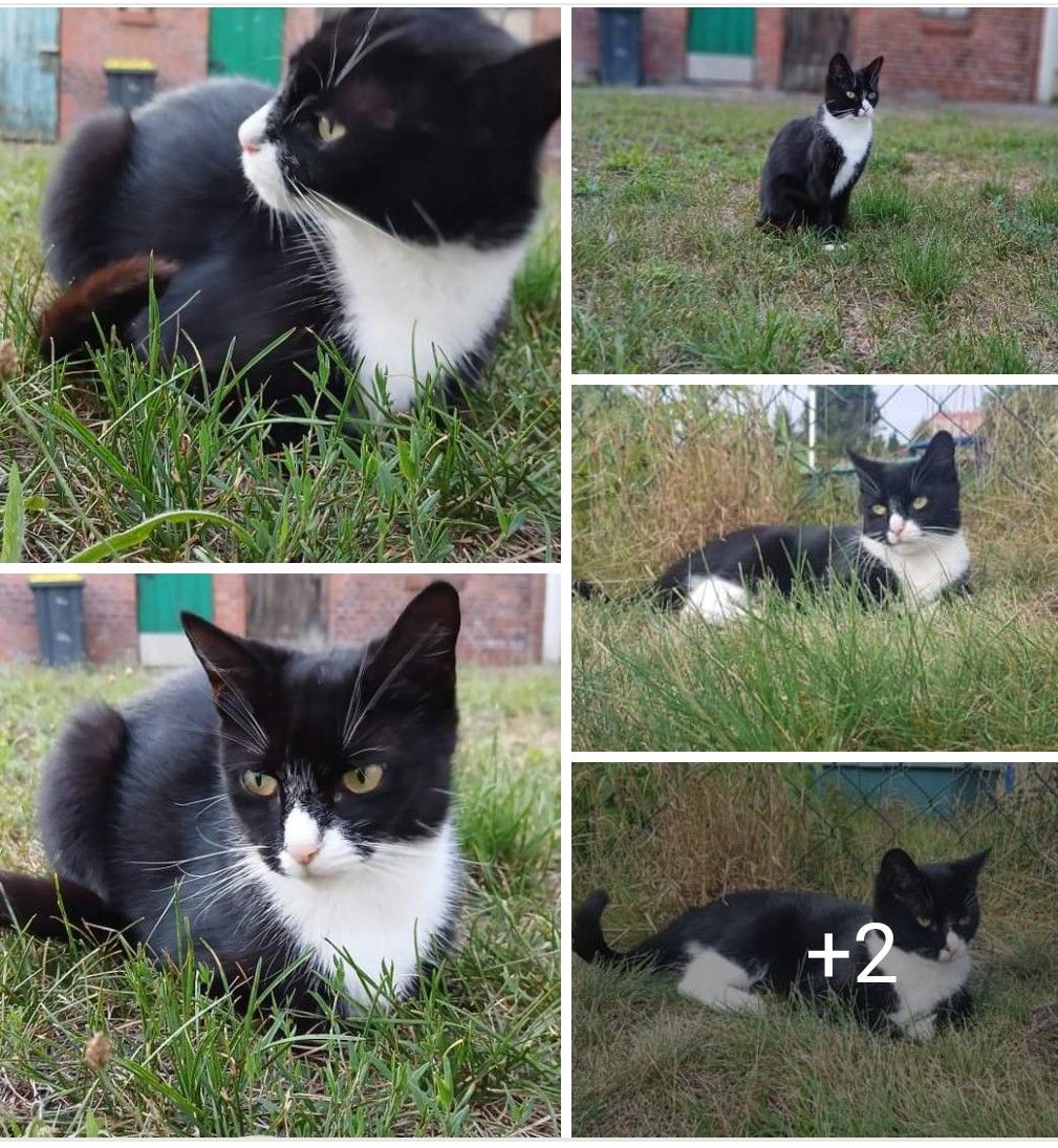 Charlie  - Straße der Jugend, Senftenberg