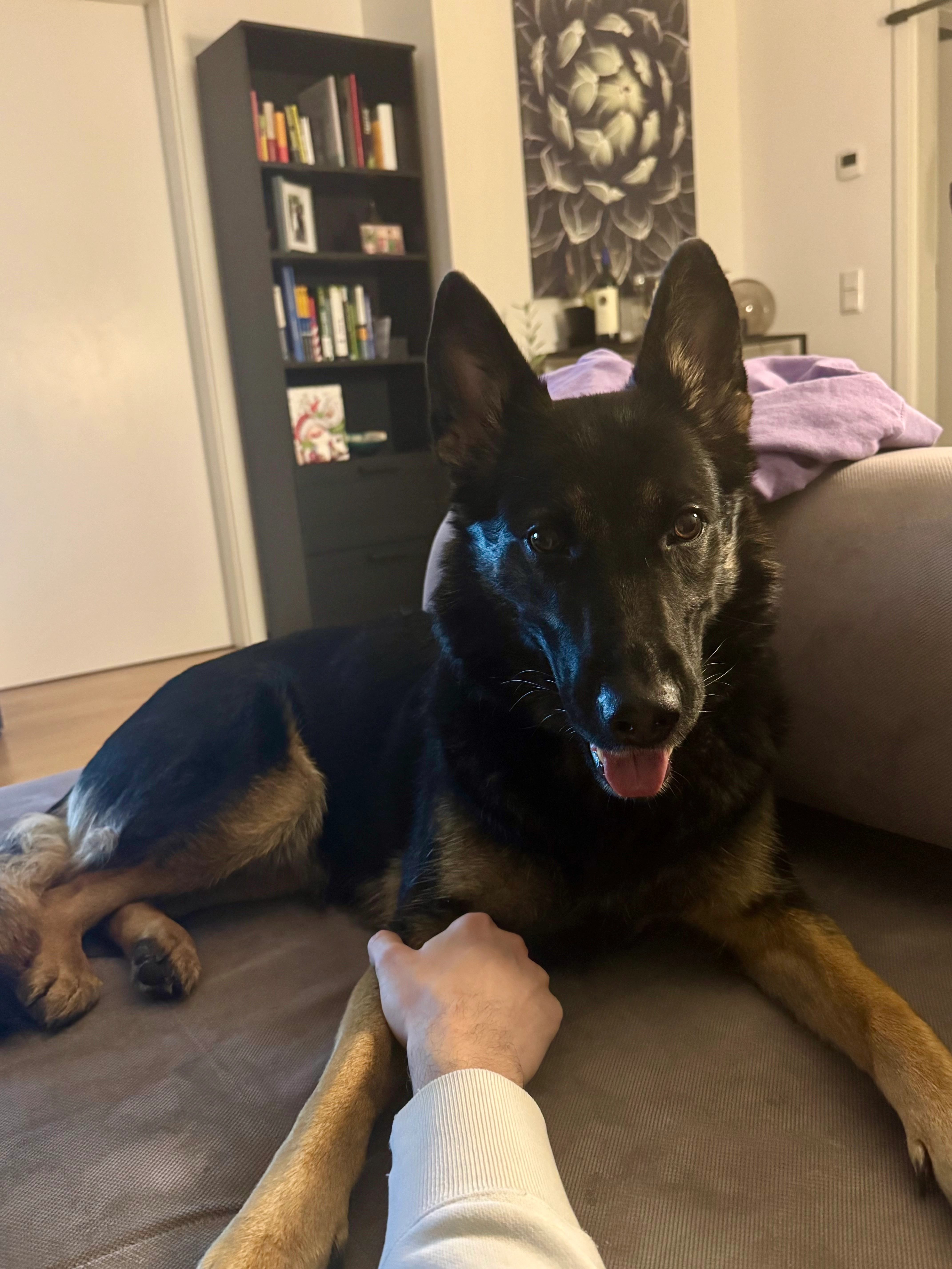 Nora - Valznerweiherstr. 200, Fürth