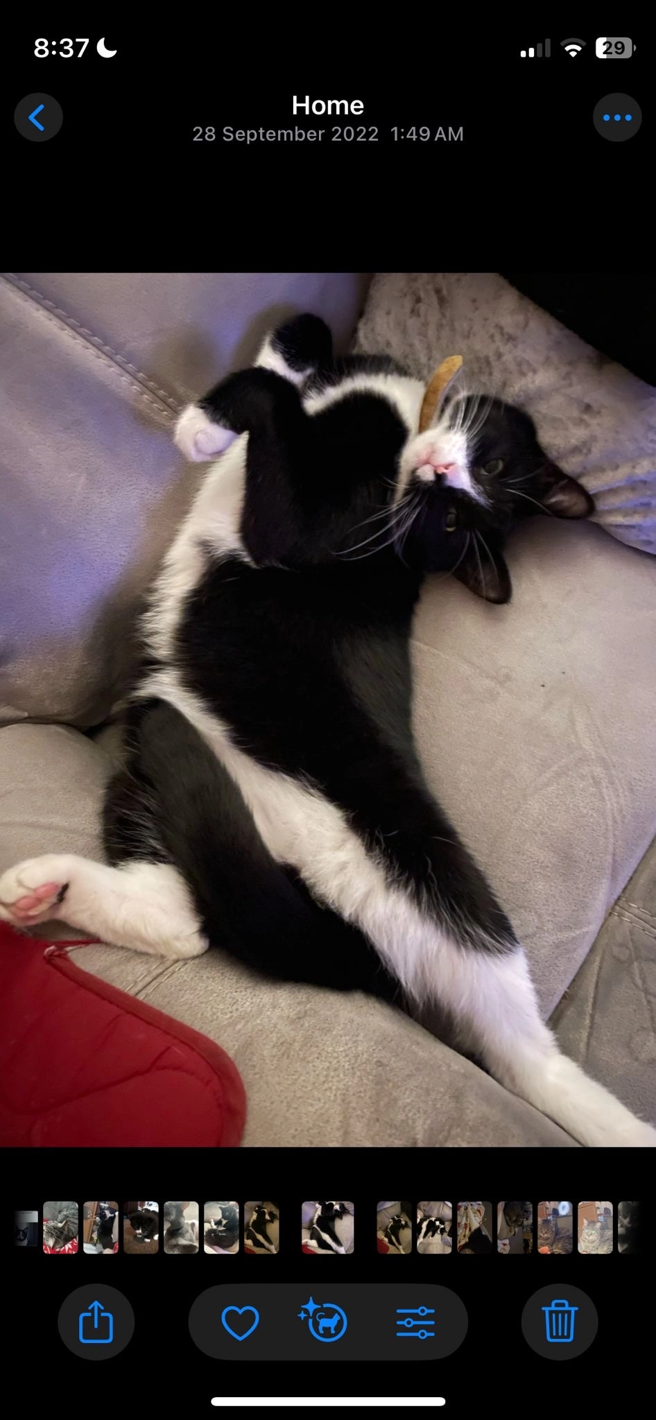 Flash - Hartfield Walk, Bolton