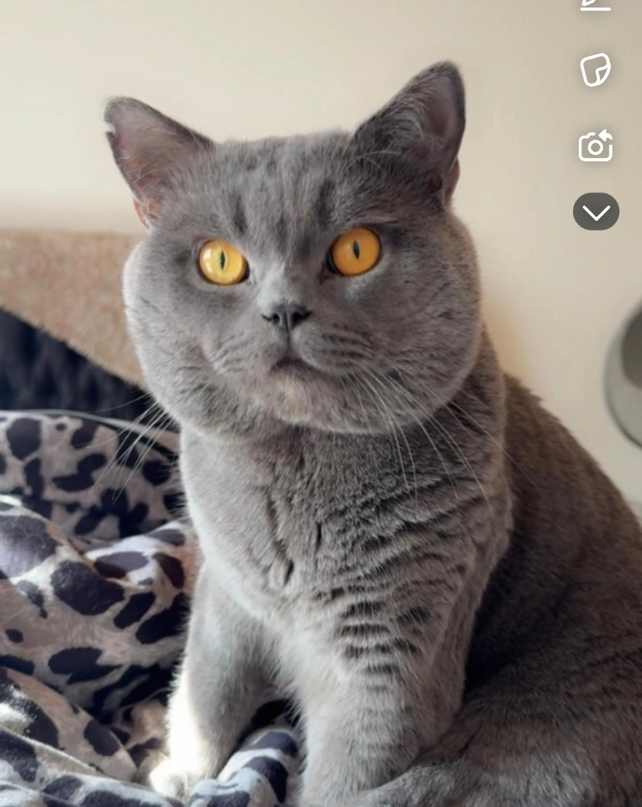 Weeny - Elsavastraße, Eschau