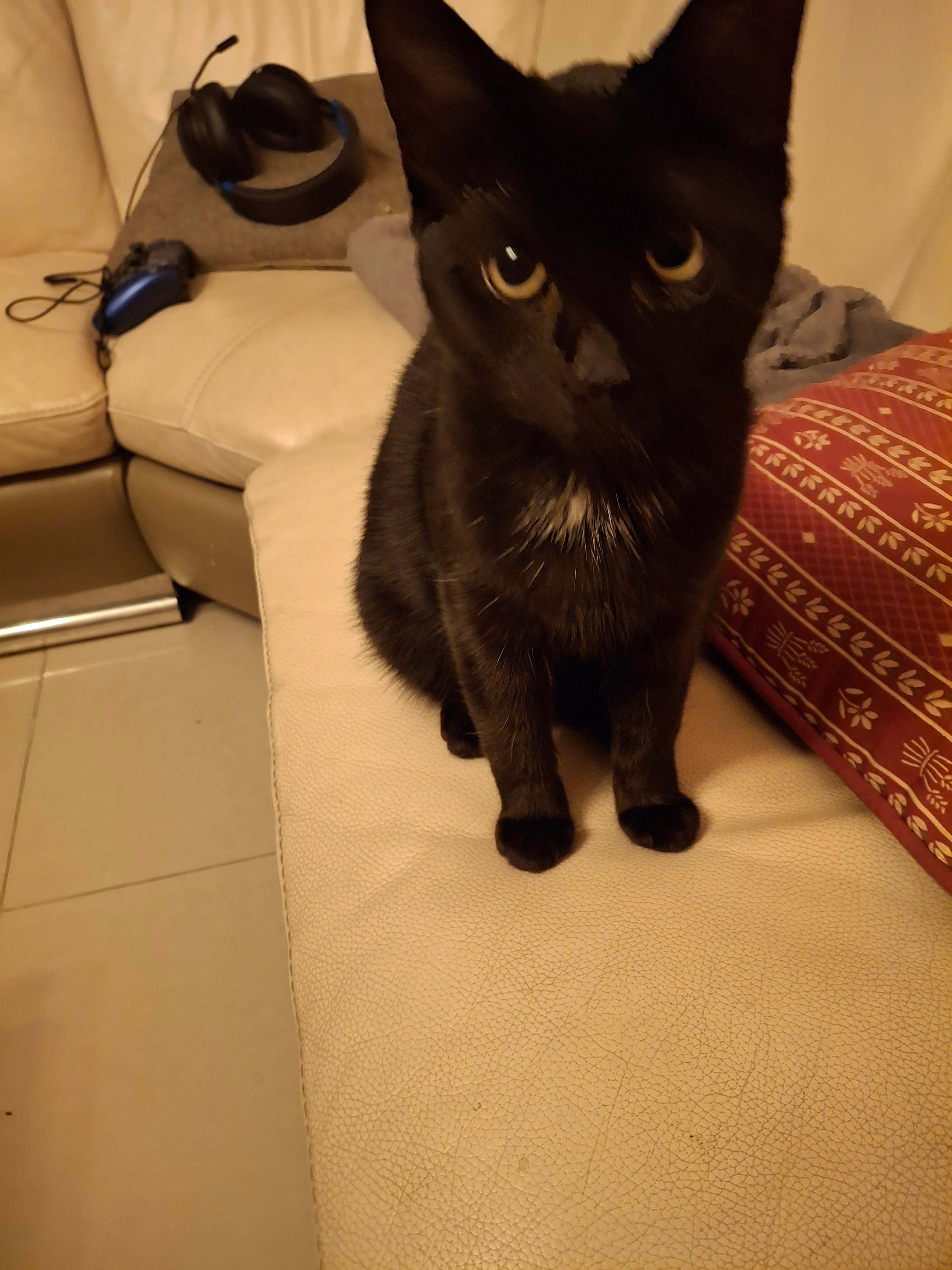 Onyx  - Bones, Burgkunstadt