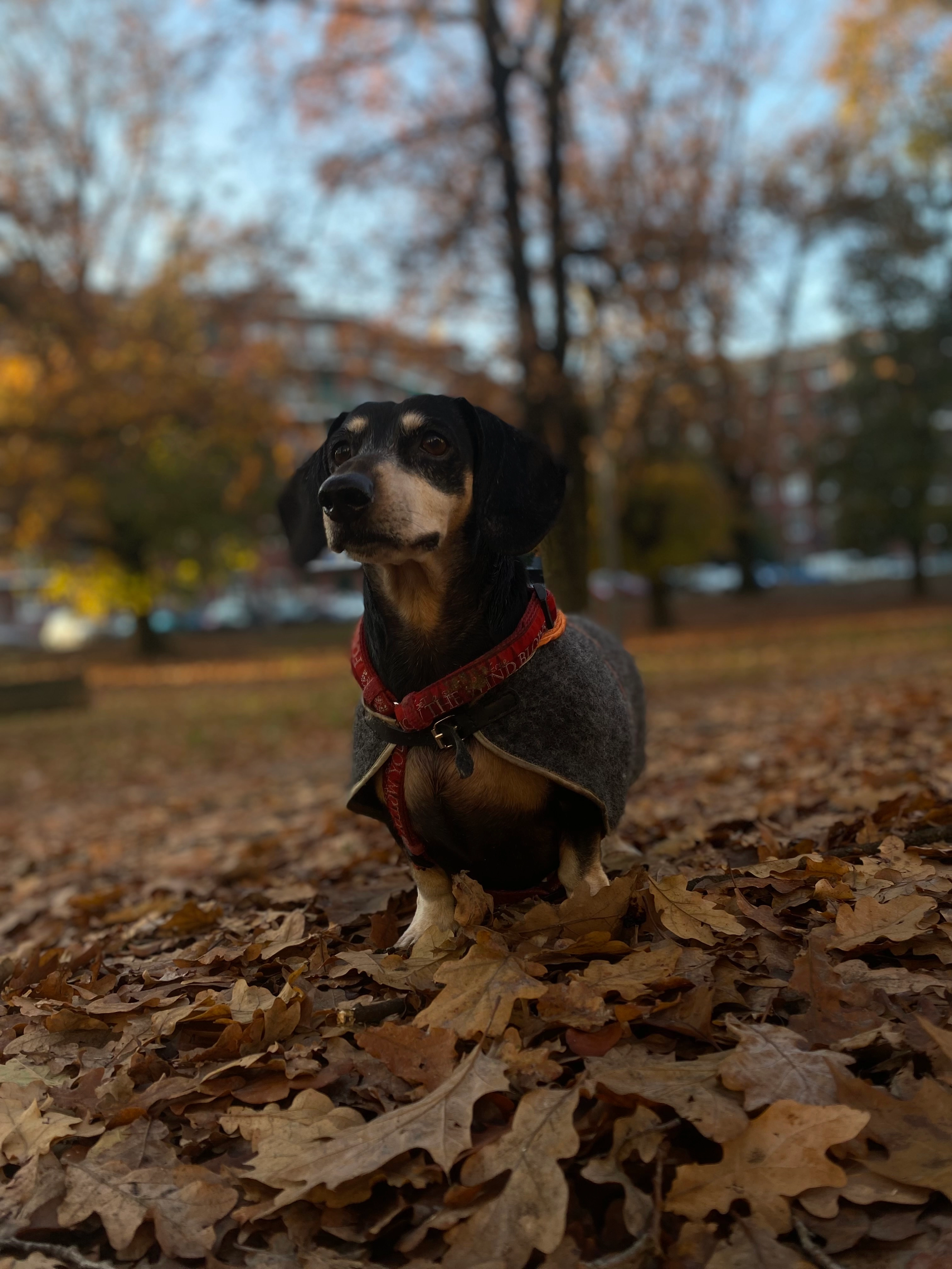 Asia - Hauptbahnhofstrasse, Solothurn