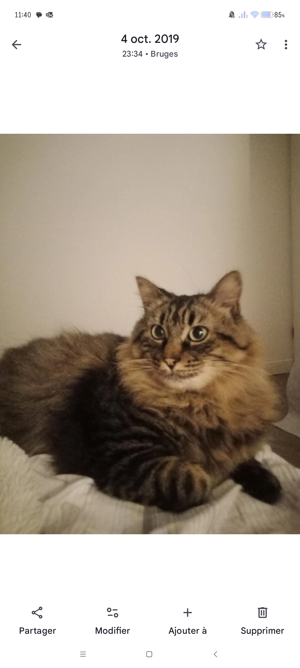 Link - Rue Fragonard, Bruges