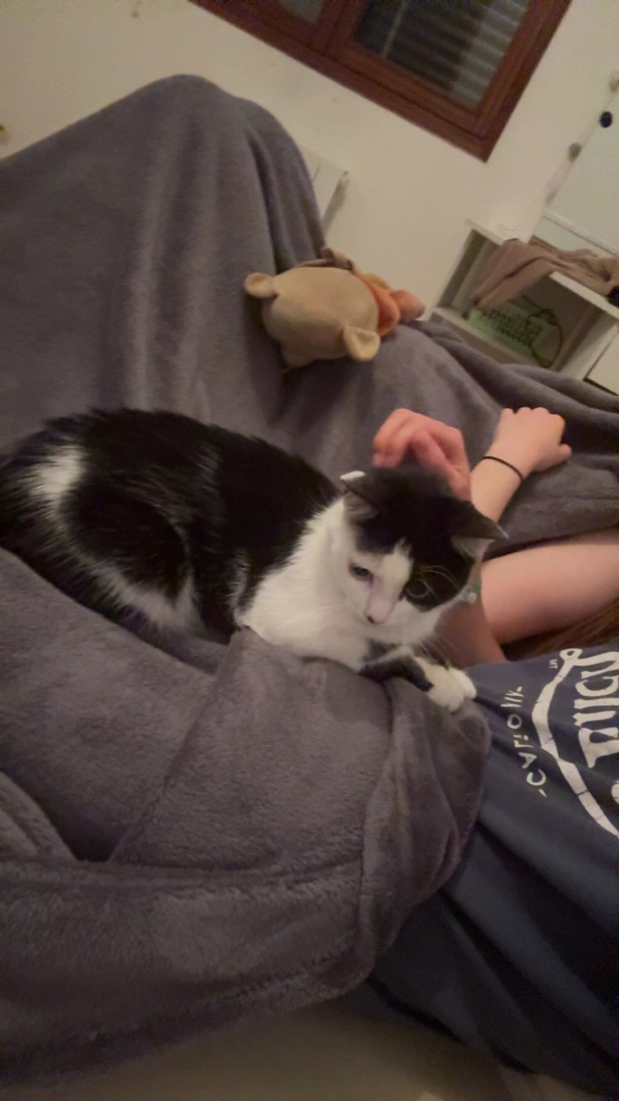 Moon - 52 Rue de la Résistance, Bonneval