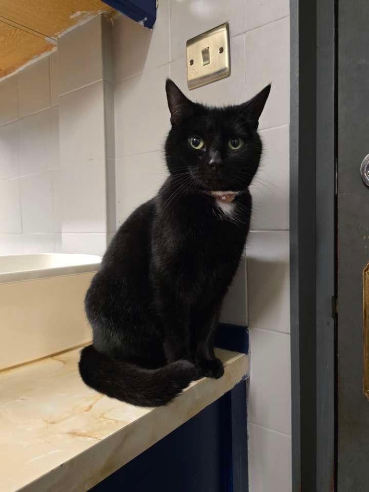 Steve  - McKenzie Road, Buckie